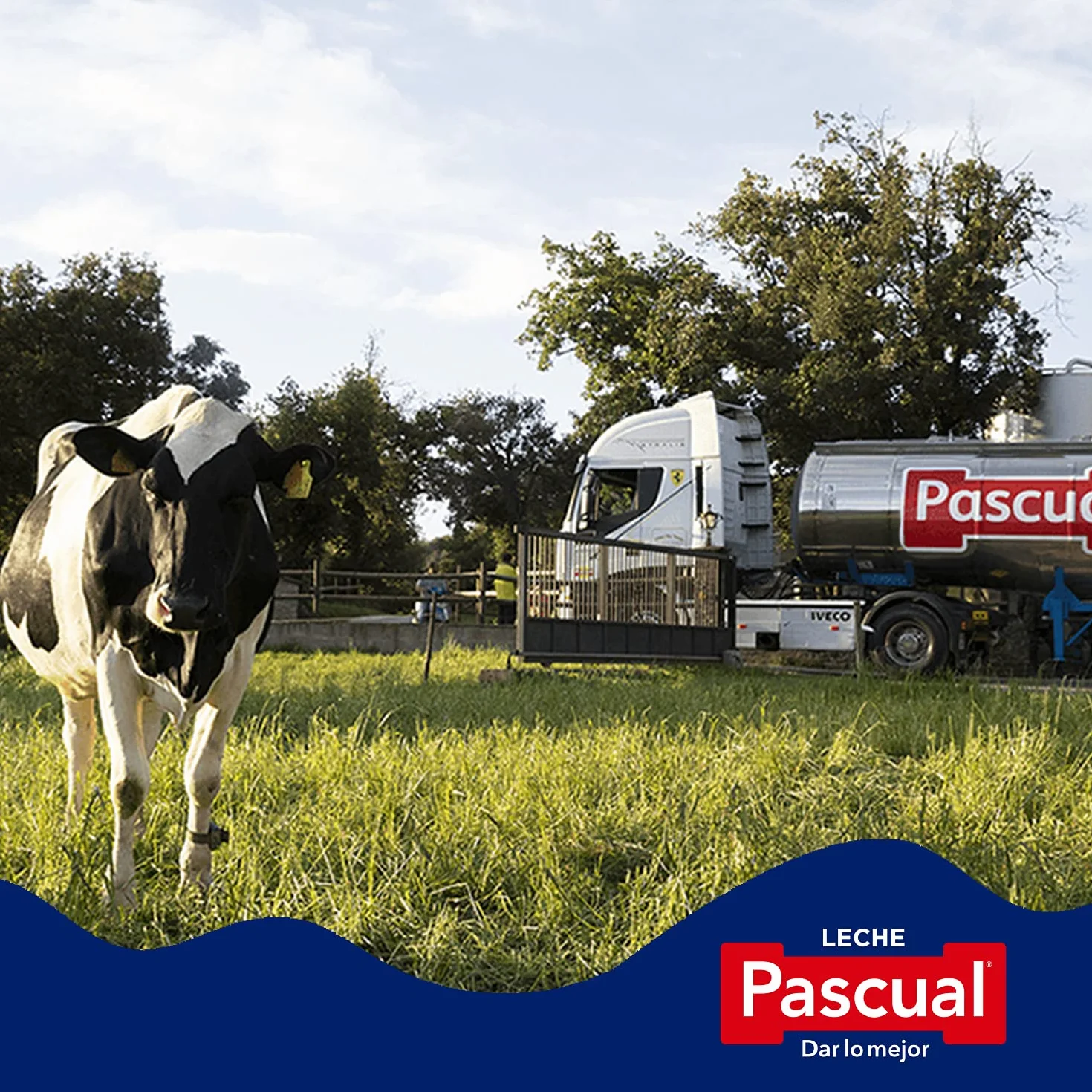 Leche Pascual Leche Entera Bienestar Animal Pack 6 x 1L