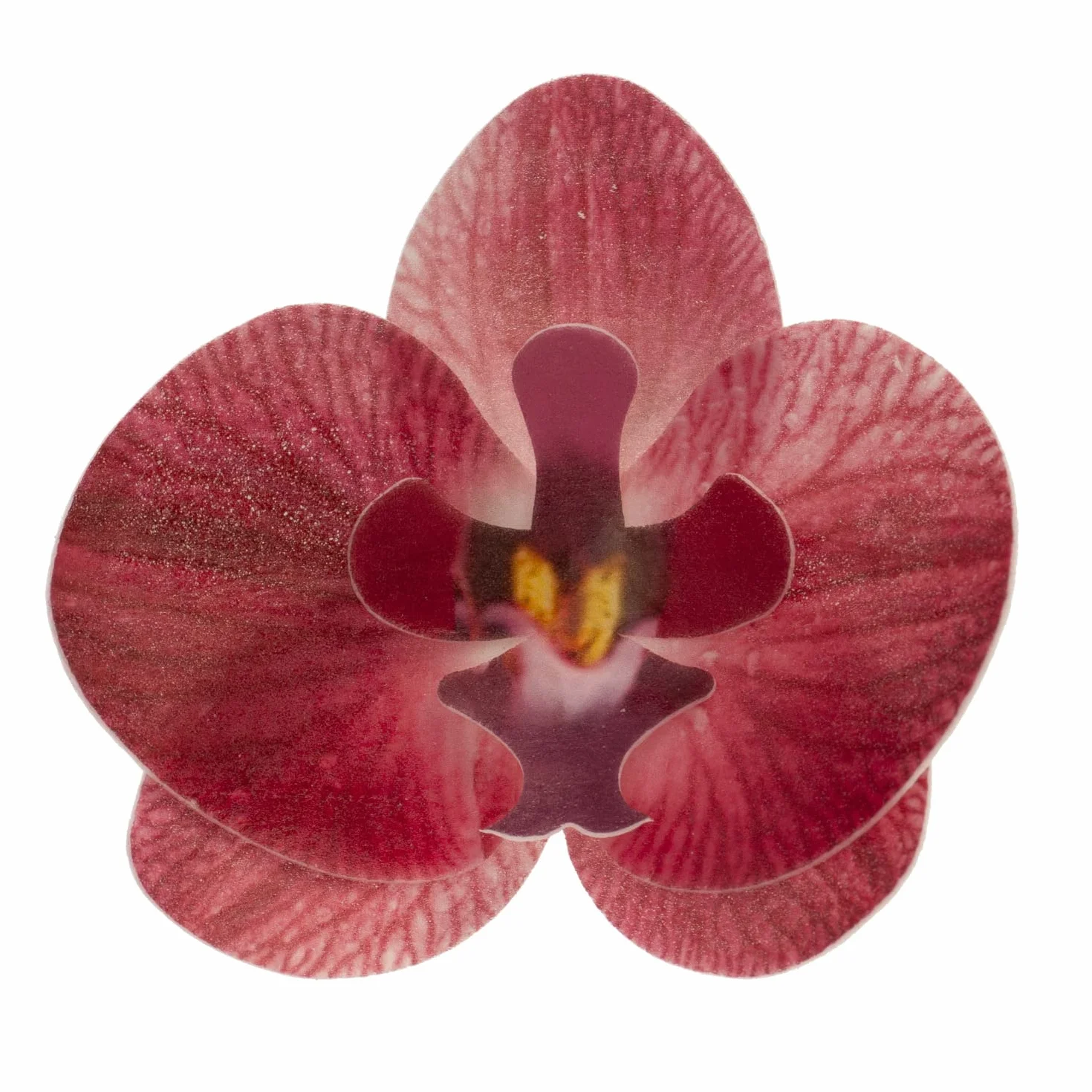 Flores Comestibles para Tartas, 10 Orquídeas Burdeos de Oblea 8.5x7.5cm, Sin Azúcar, Sin Gluten, Sin Lactosa