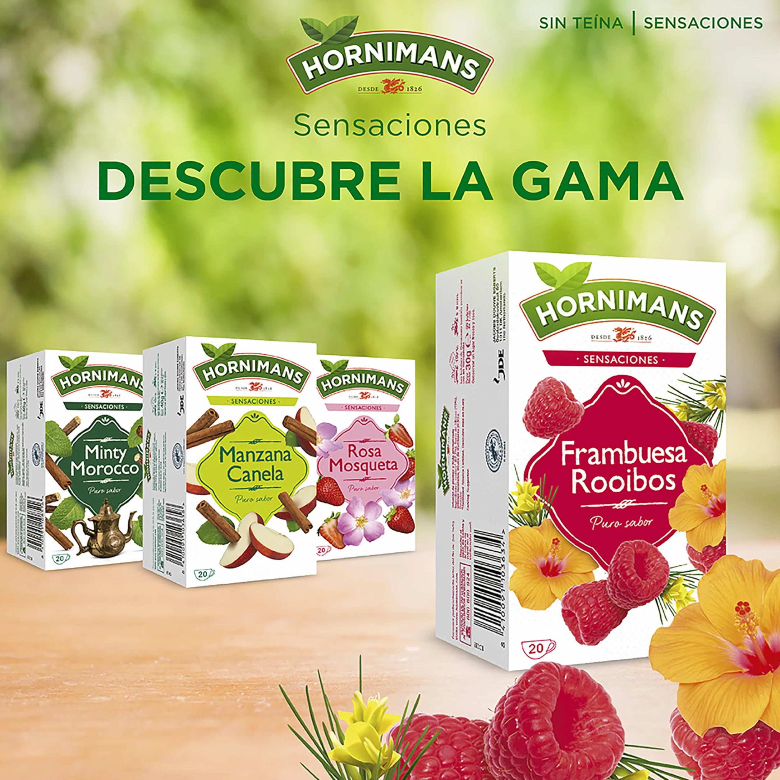 Hornimans Infusión de Frambuesa Rooibos 100% Natural 20 bolsitas Sin Teína