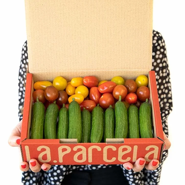 Caja Gourmet 1 kg Selección Cherrys Pepino Cocktail La Parcela España Andalucía