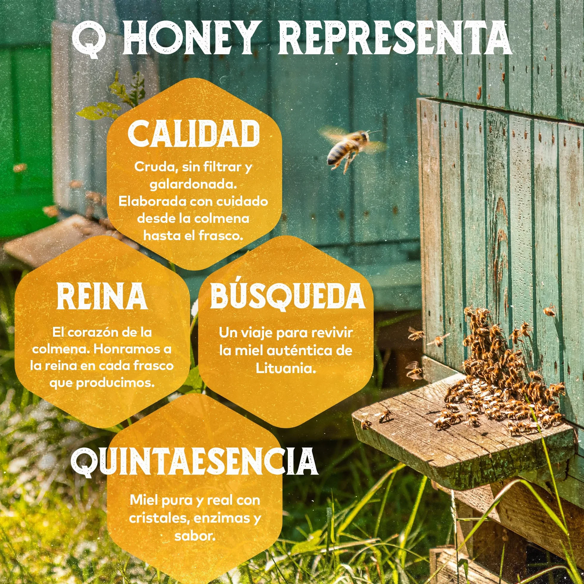 Miel Pura de Abeja 1kg Cruda Natural sin Pasteurizar - Qhoney Ganadora de Oro Paris Raw Honey Awards 2025