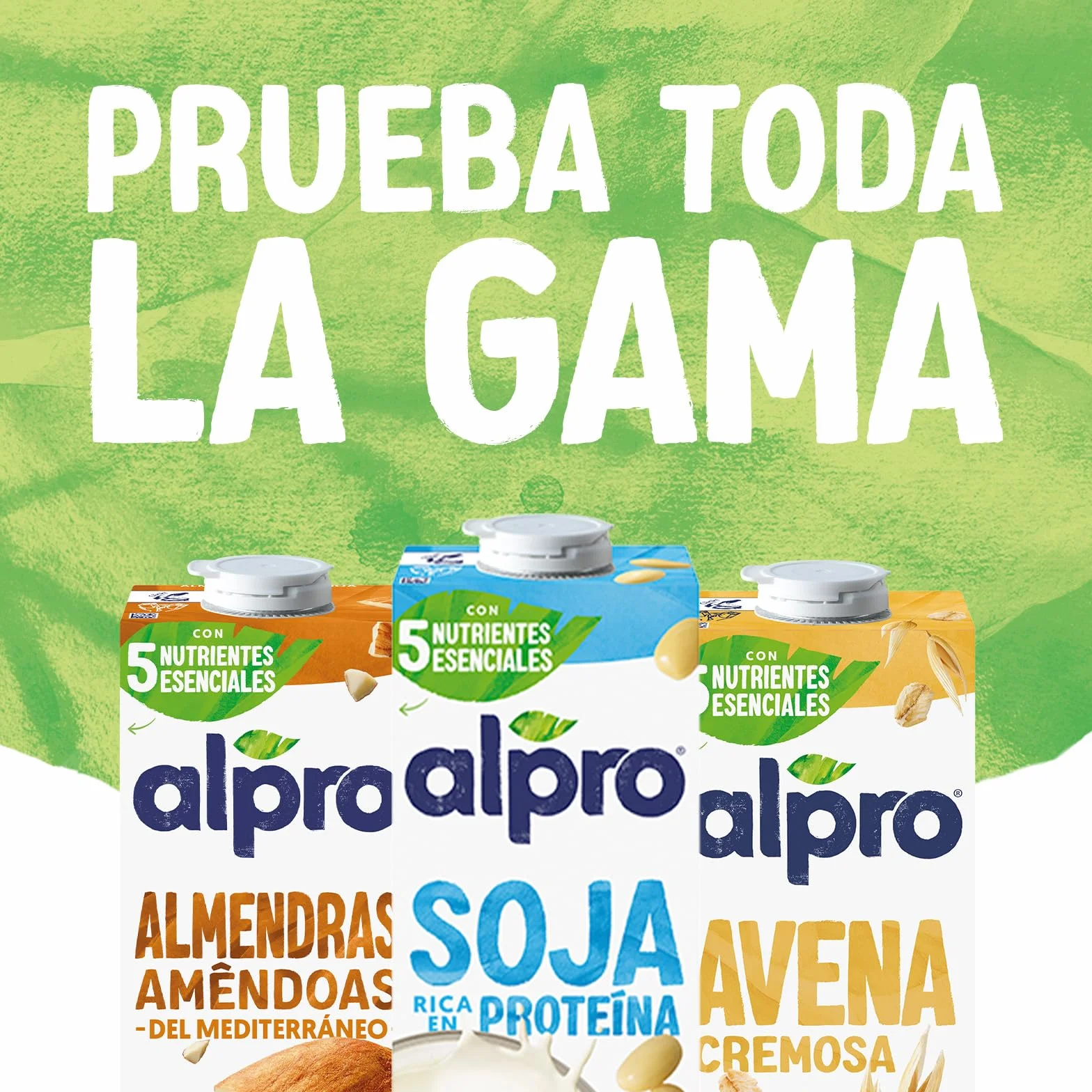 Alpro Bebida Vegetal de Soja Ligera Pack 6 x 1L