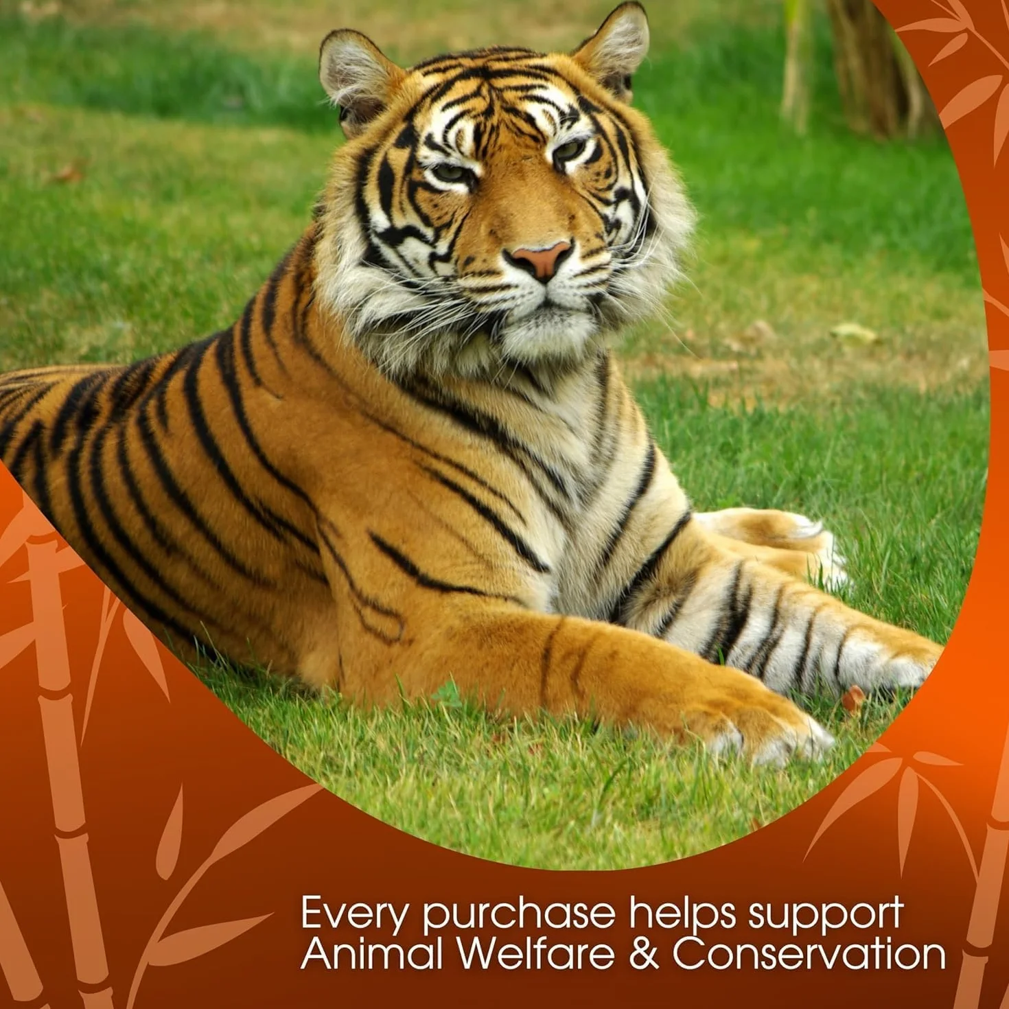 David Rio Tiger Spice Chai Food Service Bag 1.8 kg