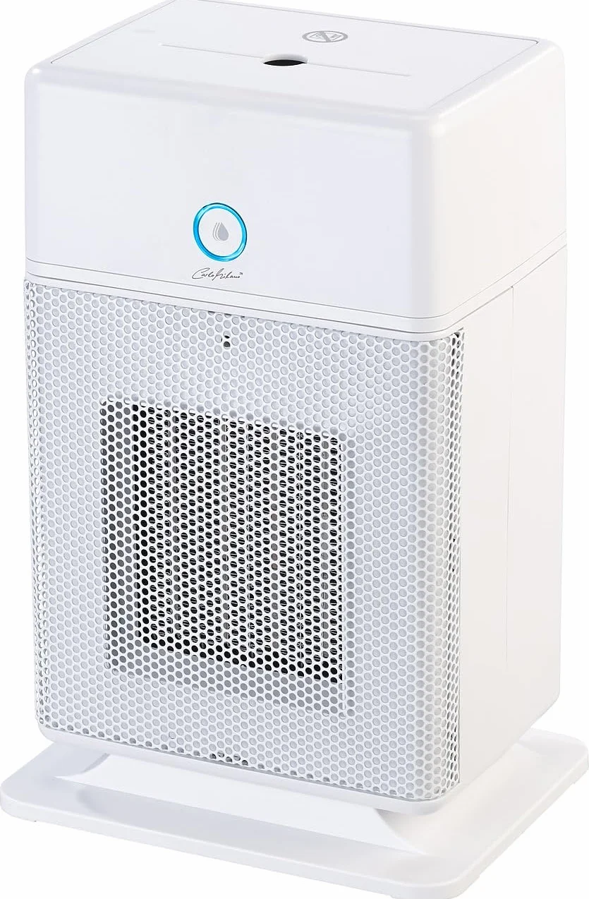 Calefactor cerámico 2 en 1 con humidificador, termostato y oscilación, 1800 W