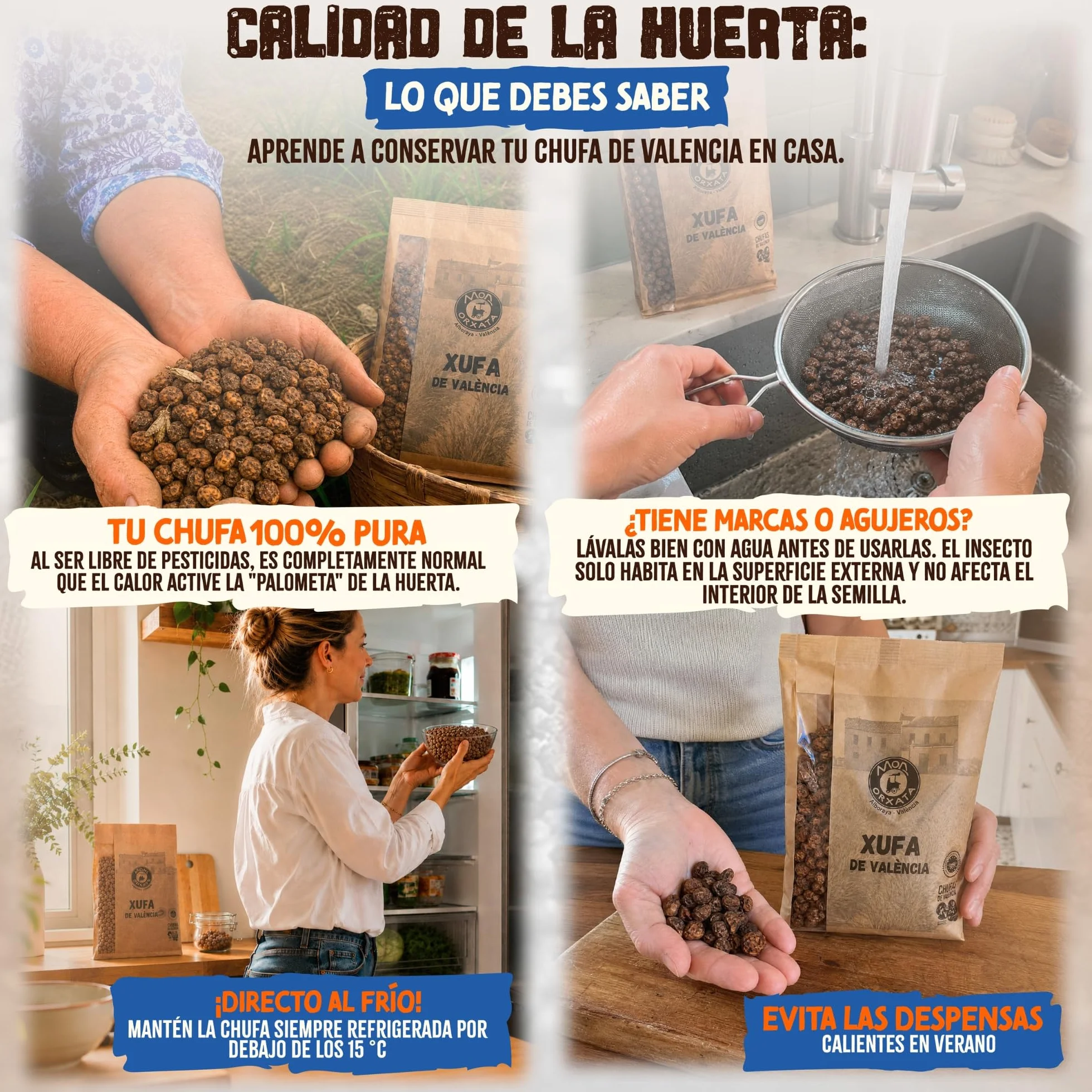 Chufa Tradicional De Valencia 1KG - Món Orxata Denominación De Origen Certificada, Secado Natural, Ideal Para Horchata Sin Azúcar