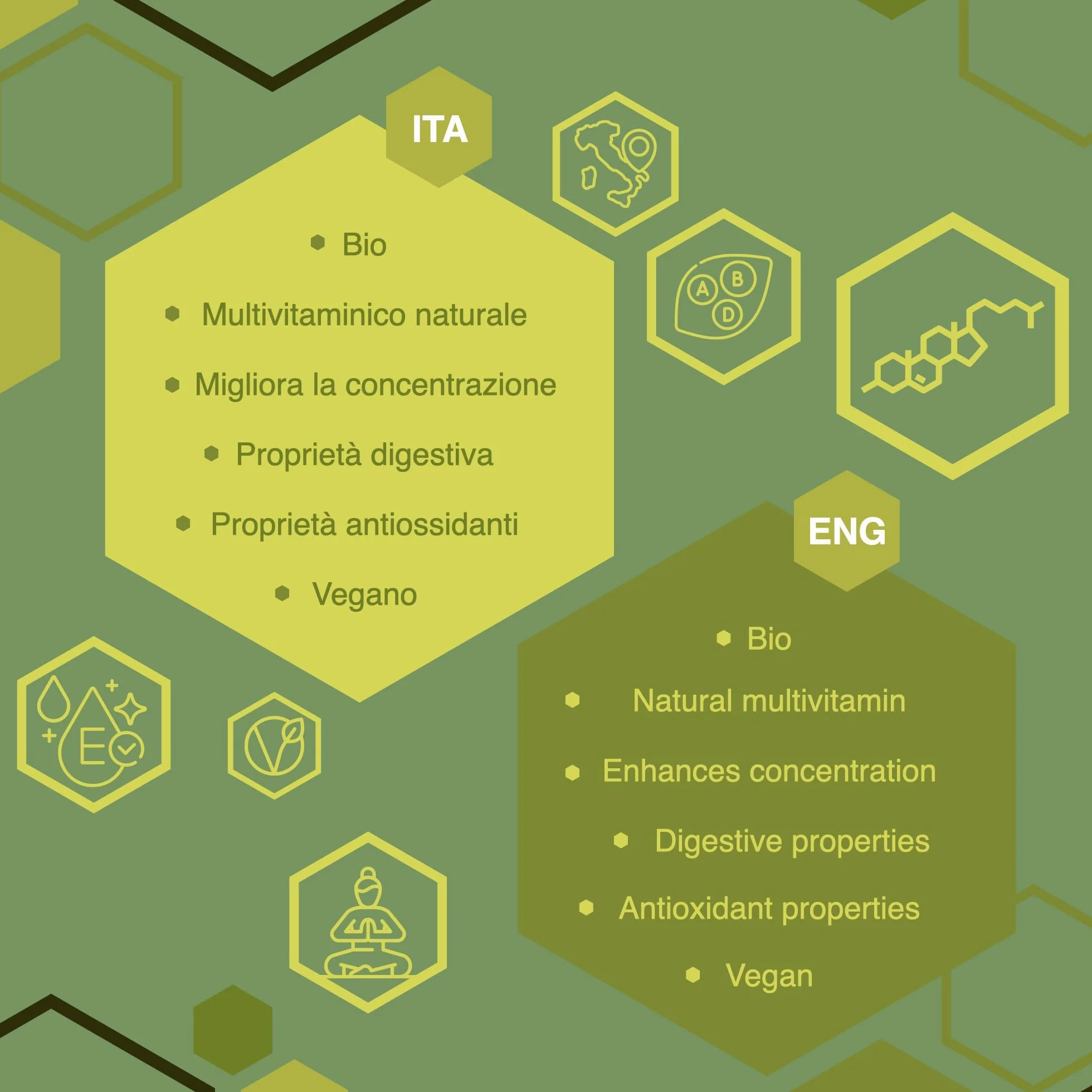ERBOTECH Matcha BIO Polvo Té Verde Japonés Orgánico 100 g Multivitamínico Natural