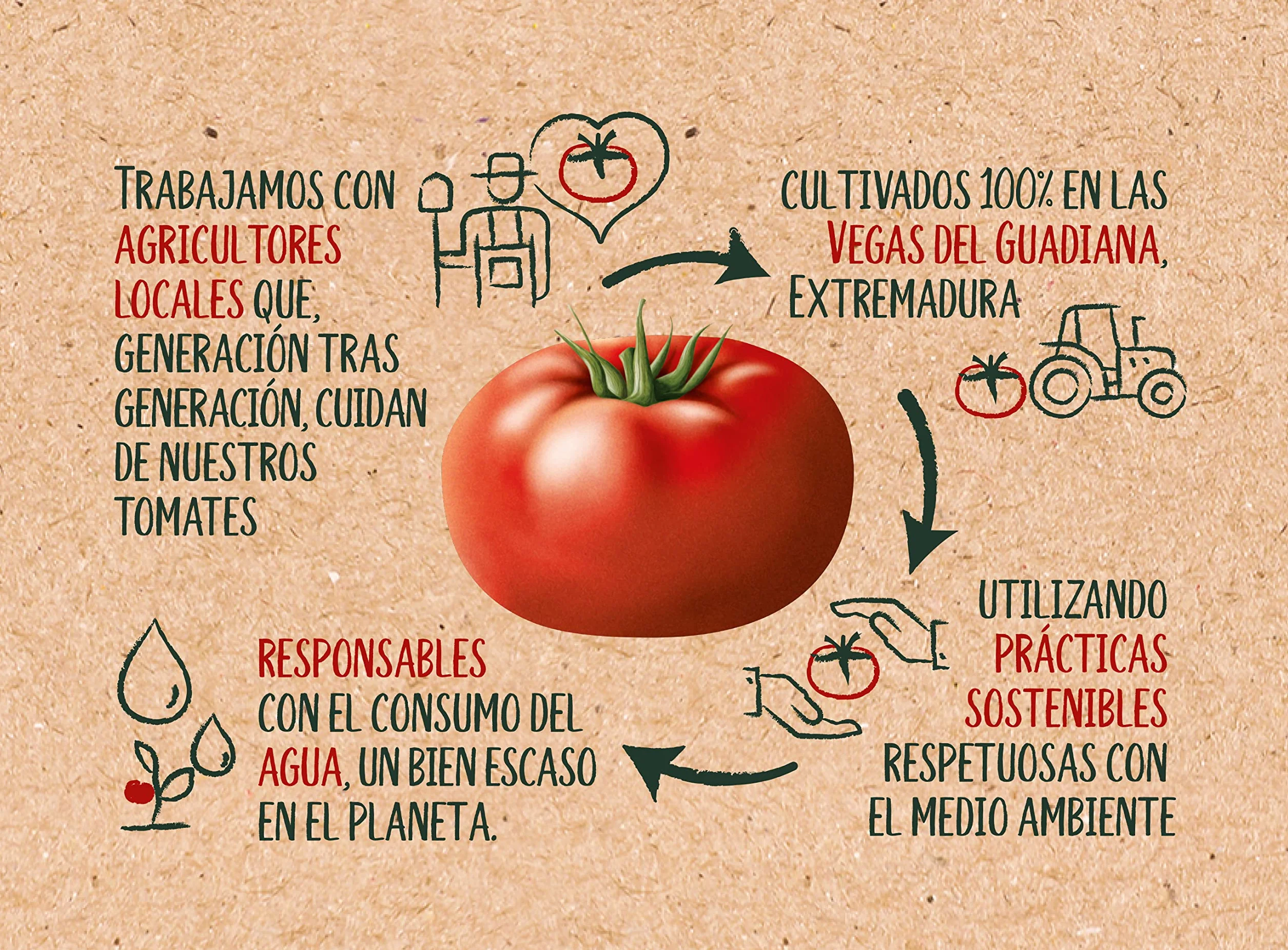 SOLÍS Tomate Frito Estilo Casero Sin Gluten 350g
