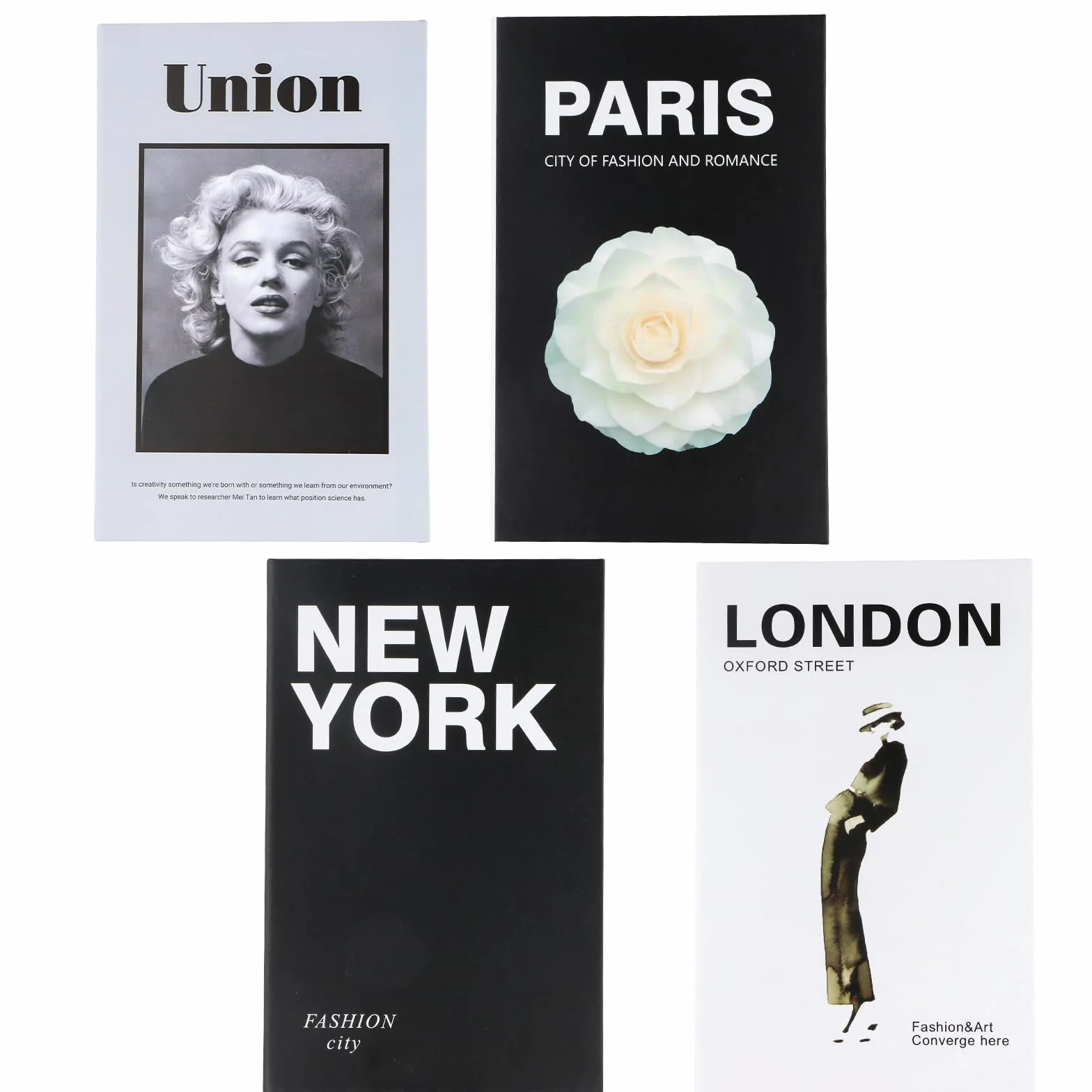 4 Piezas Libros Decorativos, Libros Falsos Decorativos, Juego de Libros de Imitación Decorativos, Libros De Exhibición Falsos para Decoración De Estantería Mesa Centro del Hogar (Blanco y Negro)