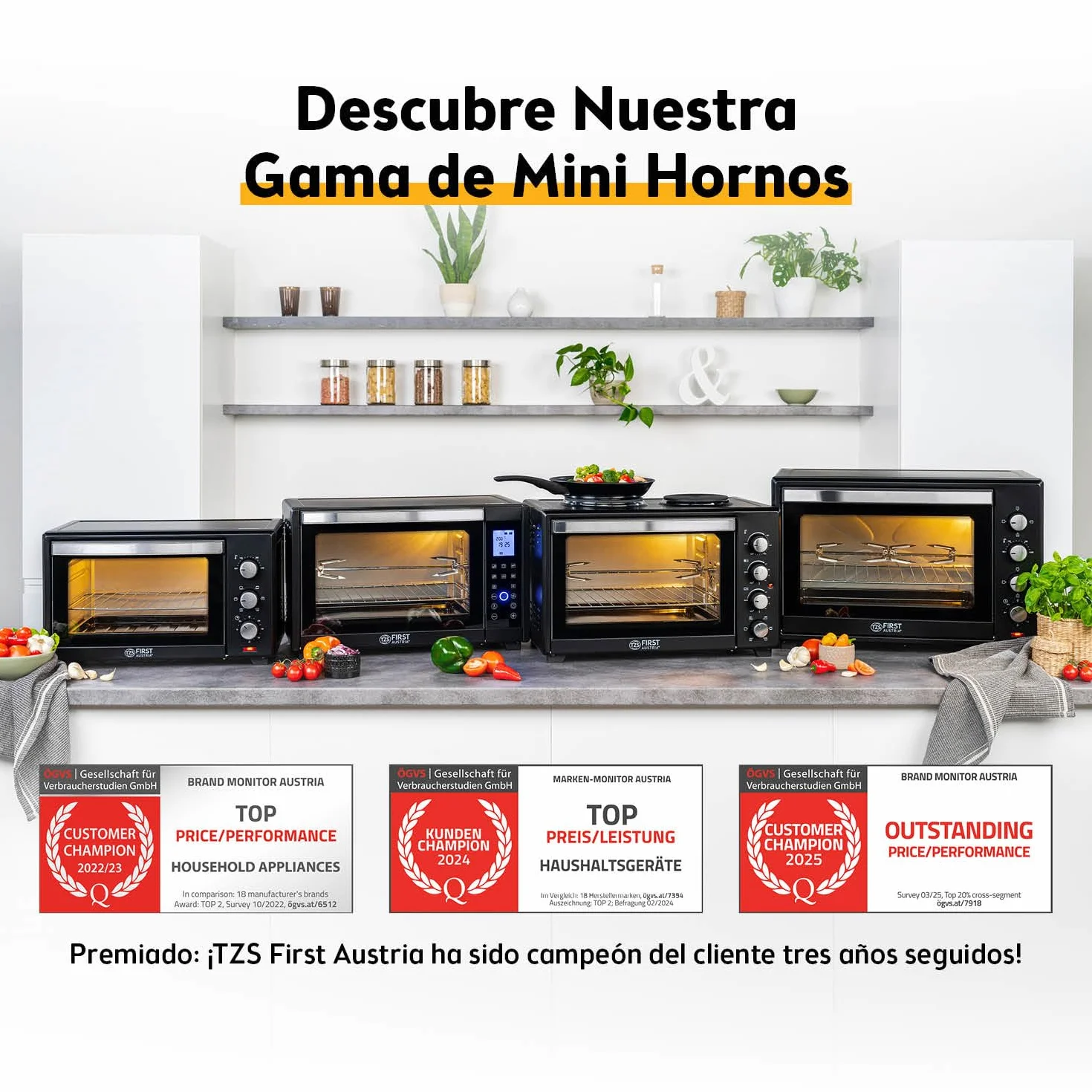 TZS First Austria Mini Horno 30L 3200W con Quemadores para Pizza 230°C 6 Modos