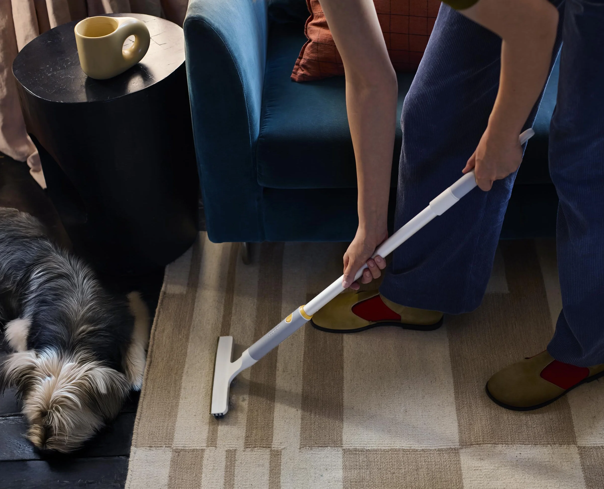 Joseph Joseph CleanTech Rastrillo para Alfombras 2 en 1, Quita Pelos de Mascotas