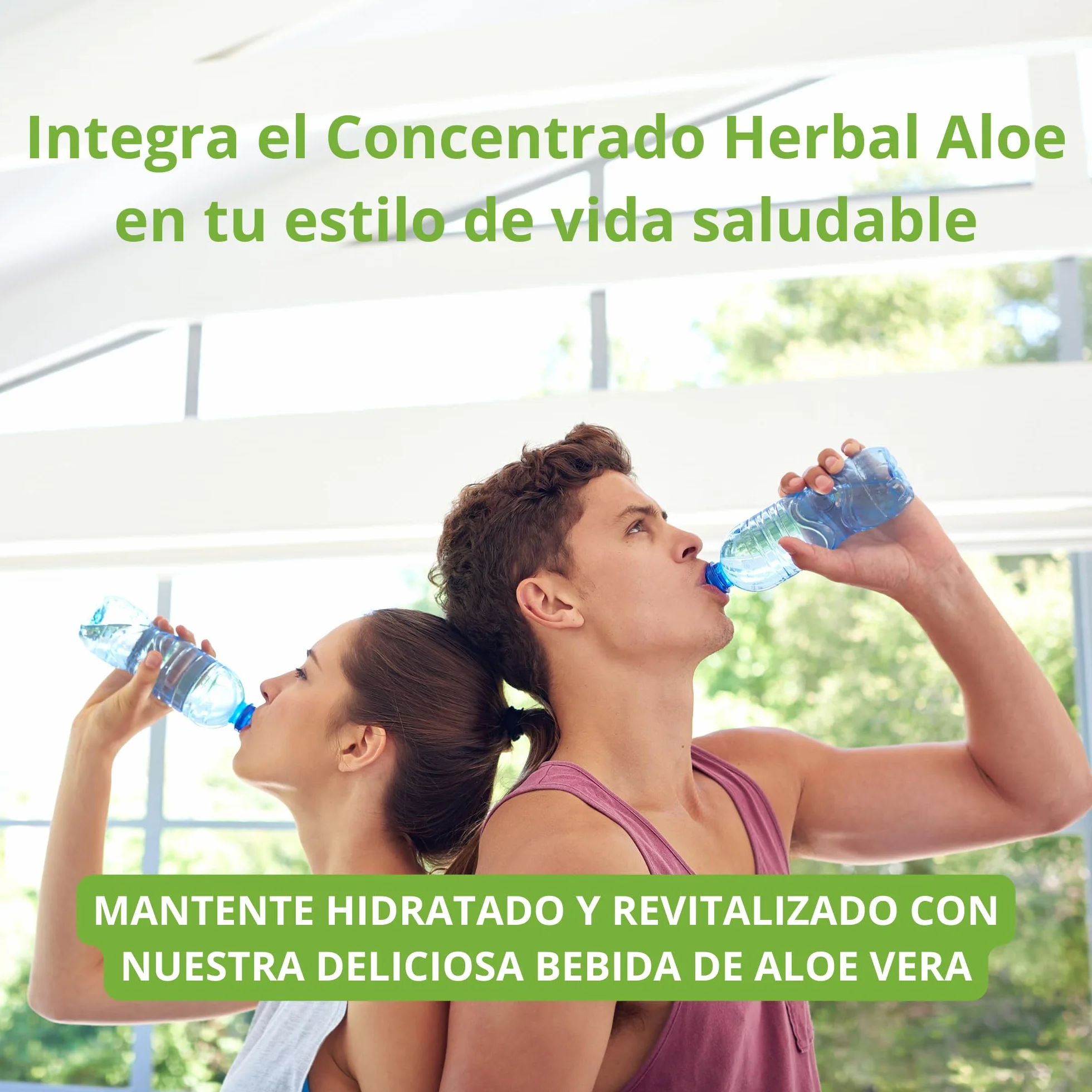 Concentrado Herbal Aloe Herbalife Nutricion - Bebida de Aloe Vera Puro 40% para beber (Mango)