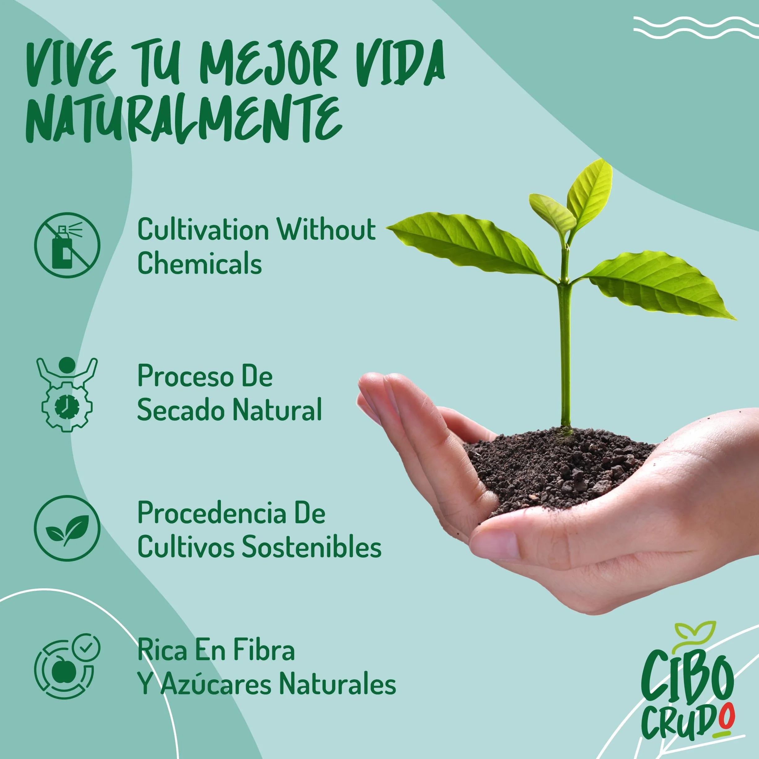 Harina de Algarroba Ecológica 500g - Sin Gluten, Orgánica, en Polvo para Helados