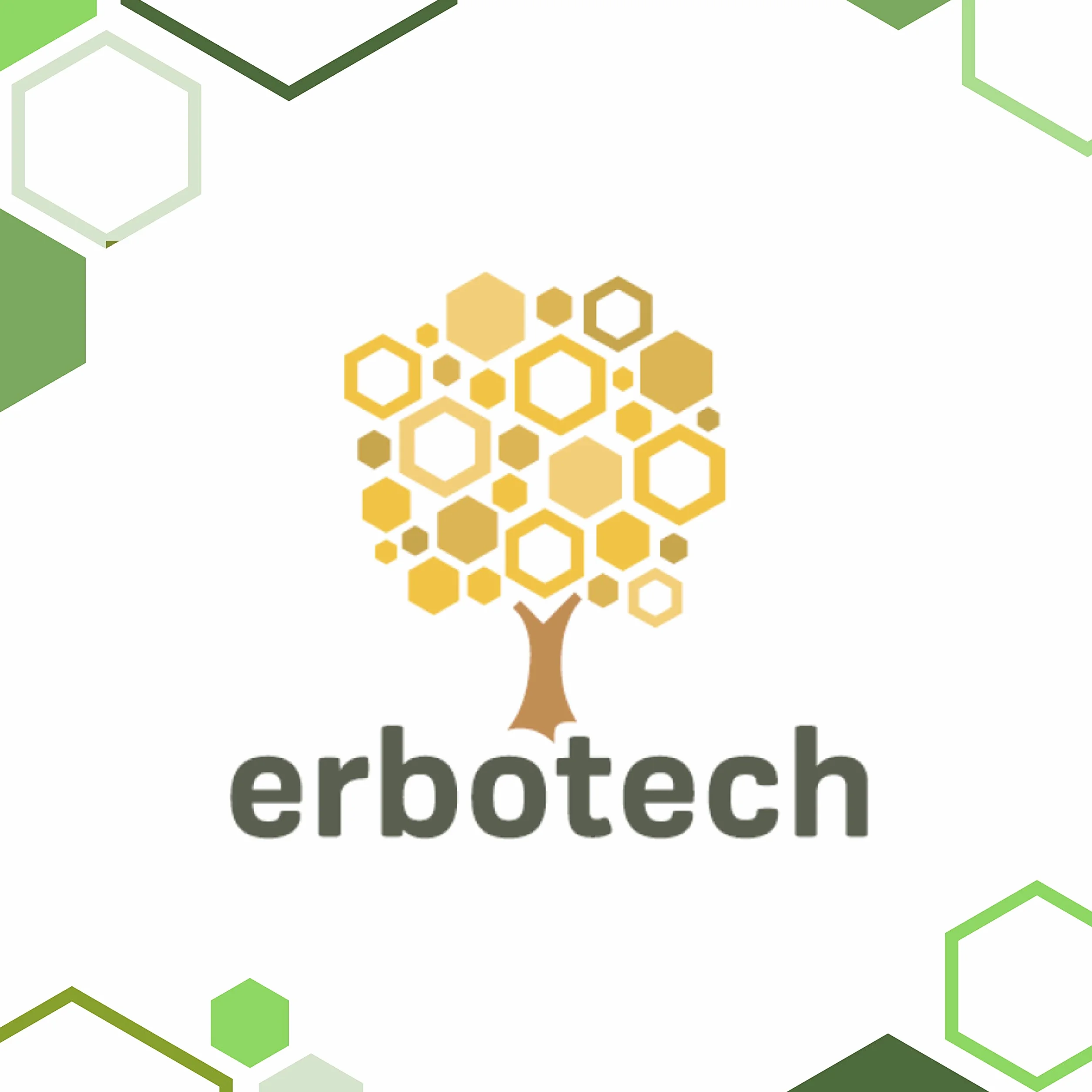 ERBOTECH 400 BIO Chlorella comprimidos 100g pura sin gluten vegano