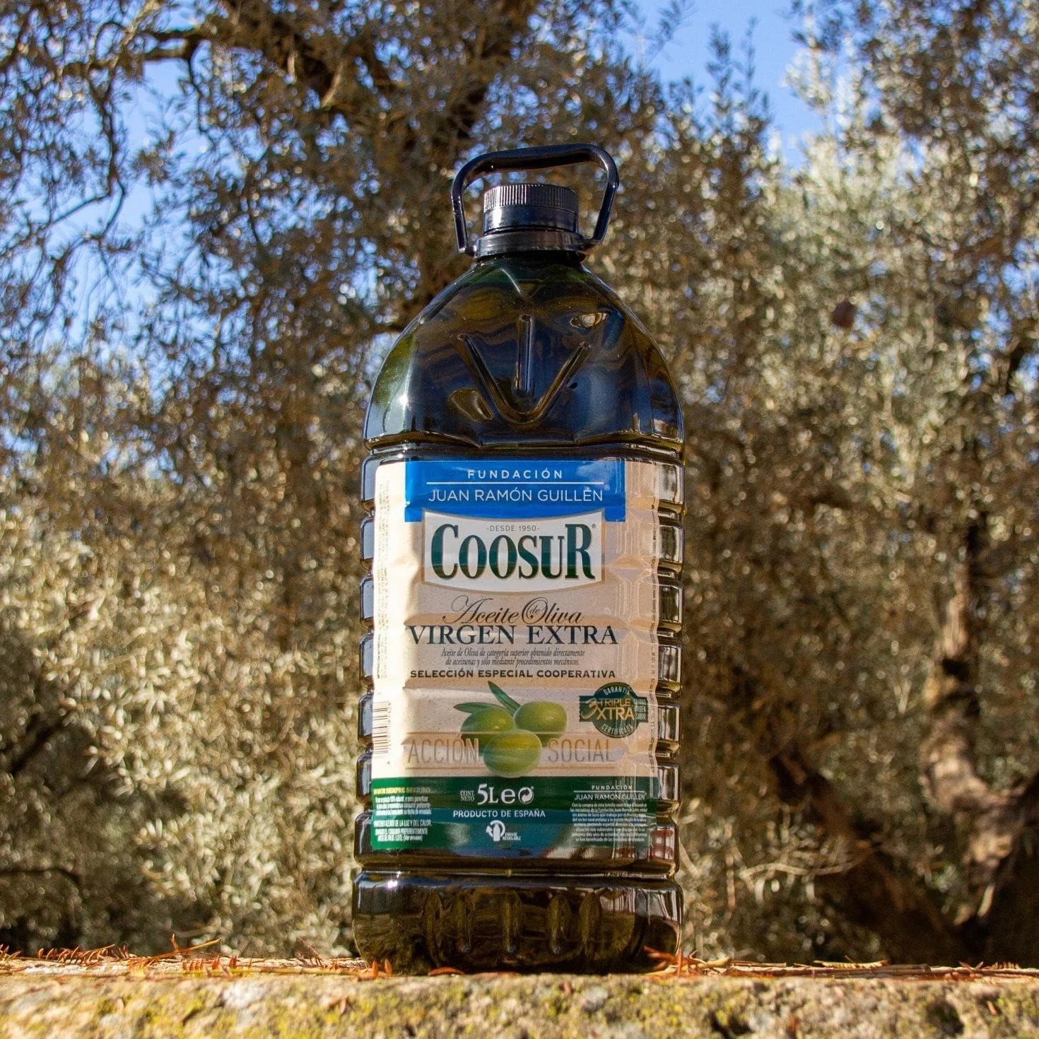 Aceite de Oliva Virgen Extra 5 Litros Garrafa PET Cooperativa
