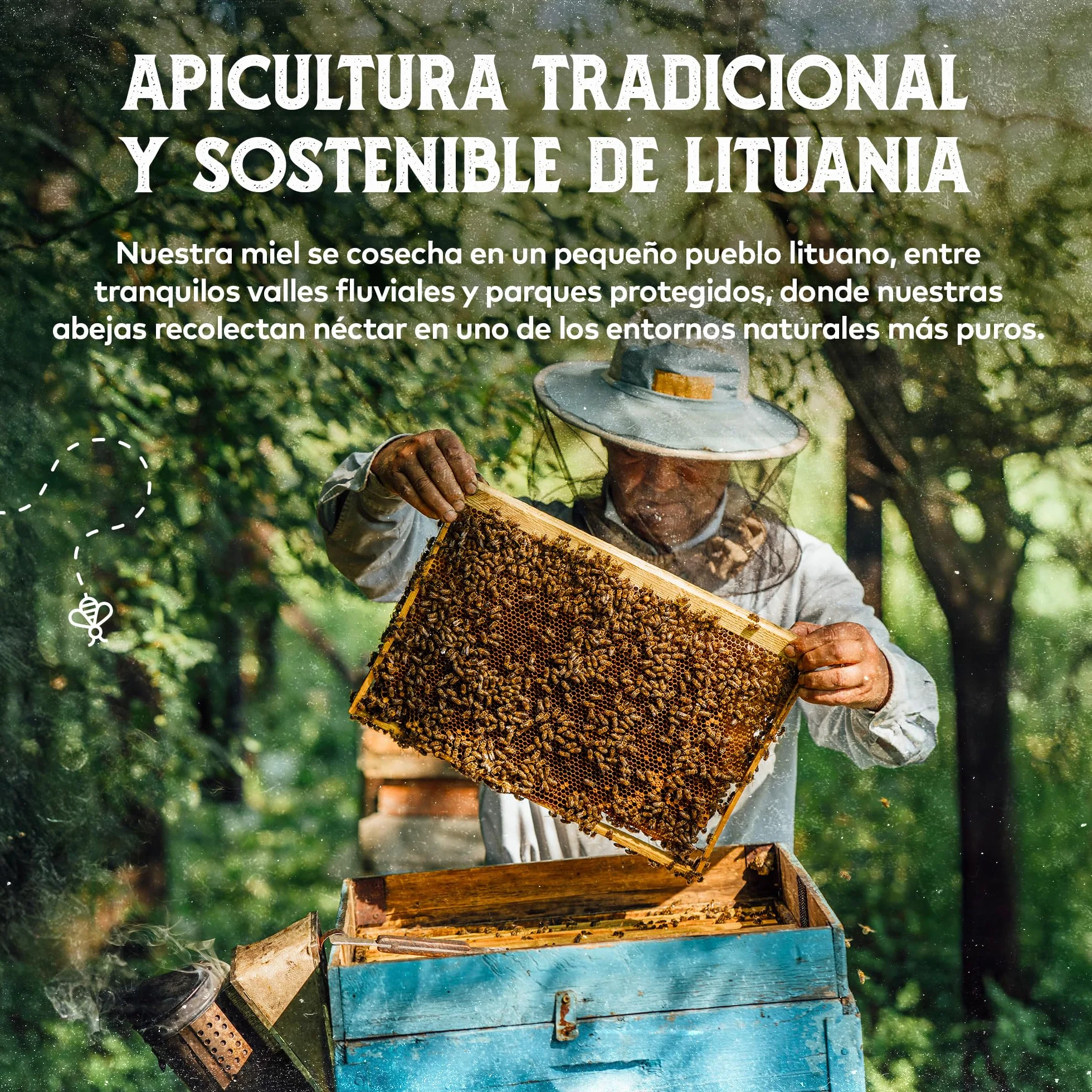 Miel Pura de Abeja 1kg Cruda Natural sin Pasteurizar - Qhoney Ganadora de Oro Paris Raw Honey Awards 2025
