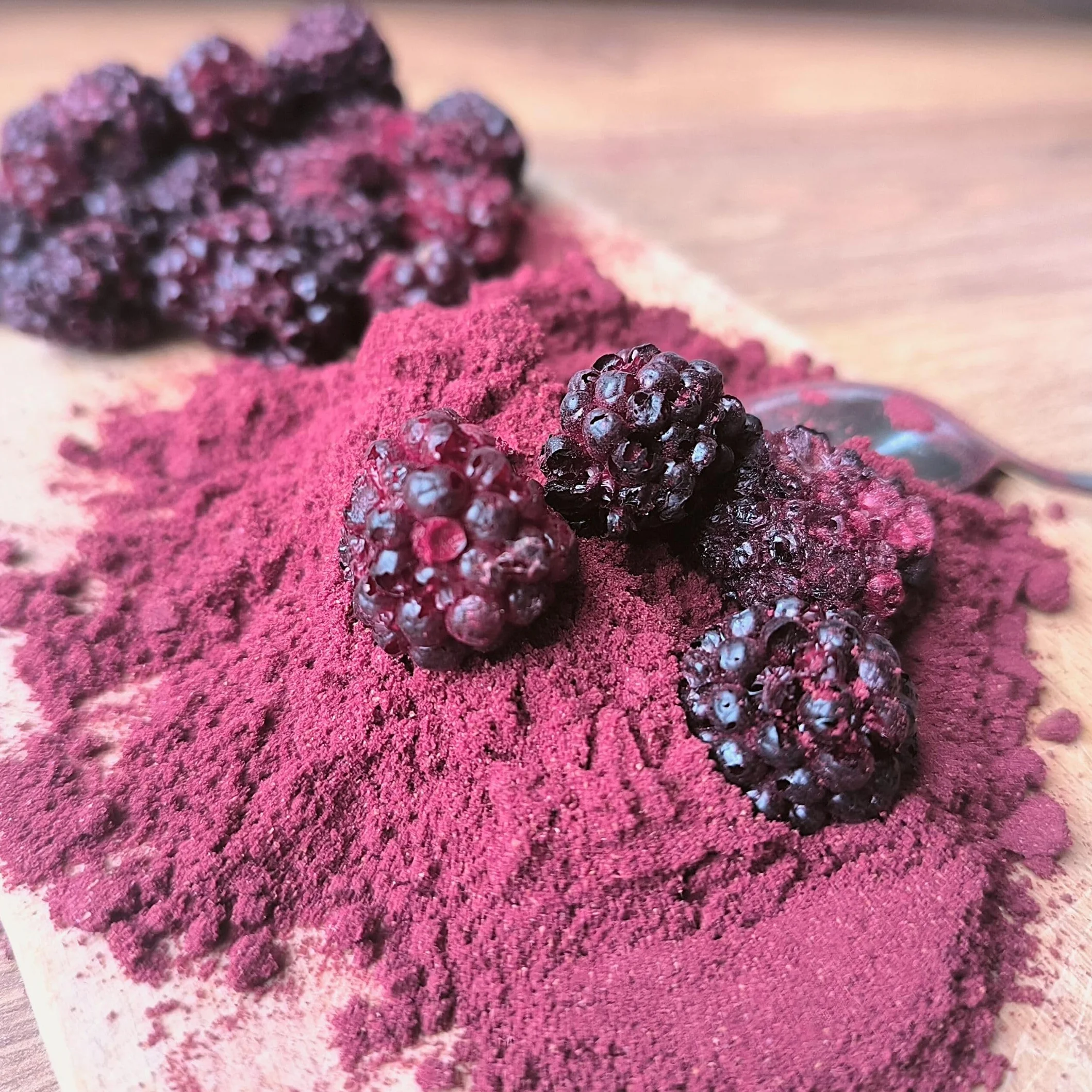 Polvo de Mora Liofilizado Natural Puro 100% Deshidratados Sin Azucar Blackberry Fruit Powder Freeze Dried ZingyZoo