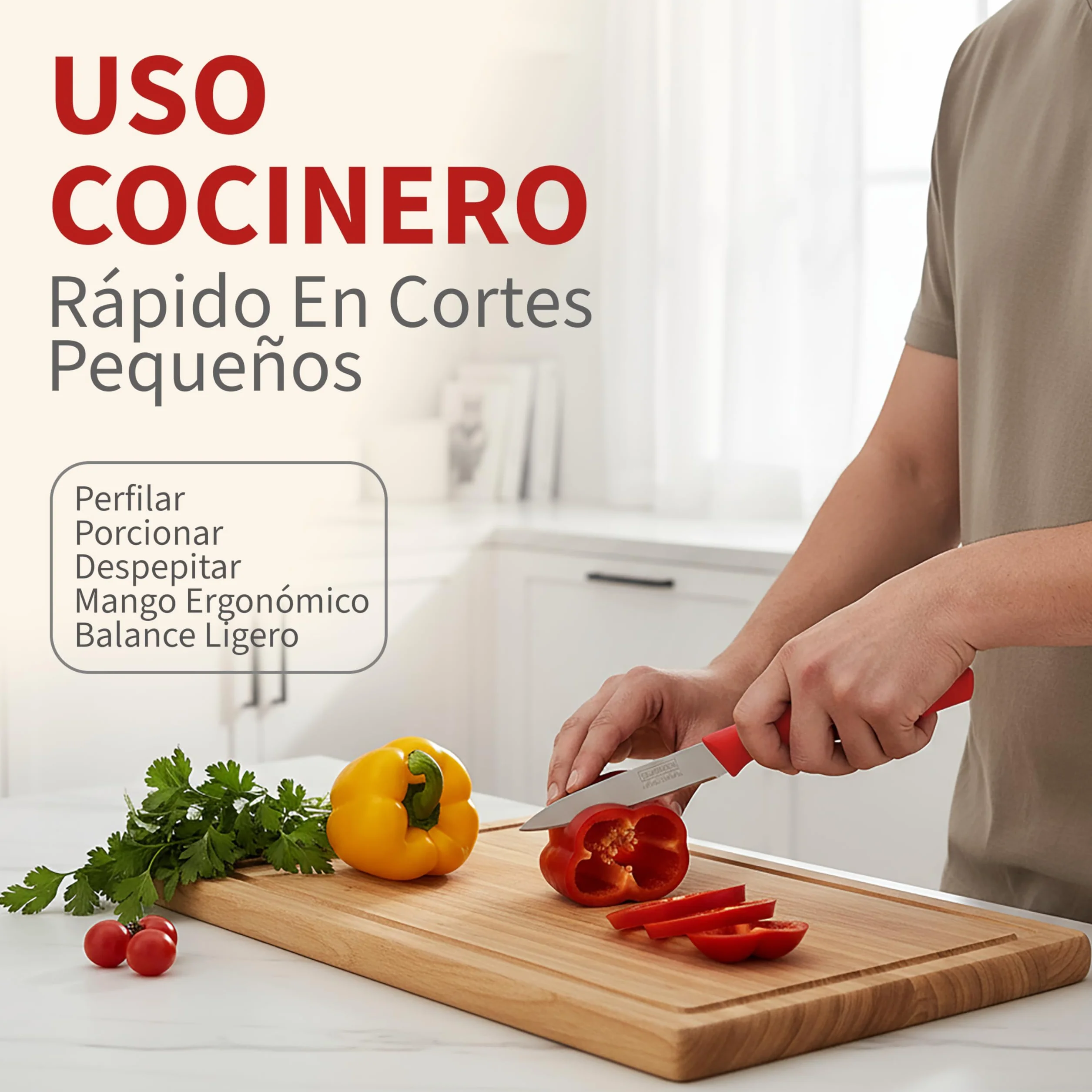 Cuchillos de Cocina Acero Inoxidable Pack 6 Piezas Aptos Lavavajillas