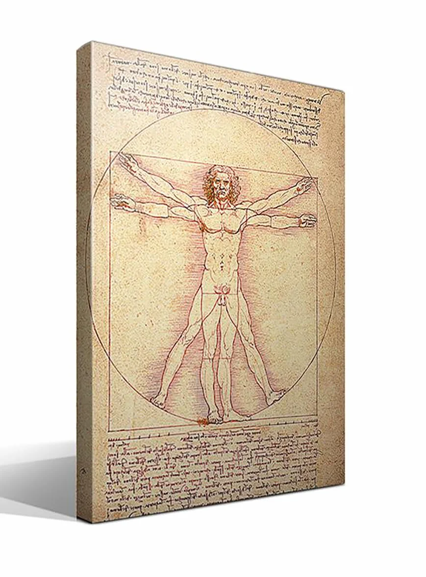 El Hombre de Vitruvio | Leonardo Da Vinci | Renacimiento | Cuadro Canvas Wall Art | Impresion Giclee lienzo algodon puro | Bastidor 3cm | 55x75cm