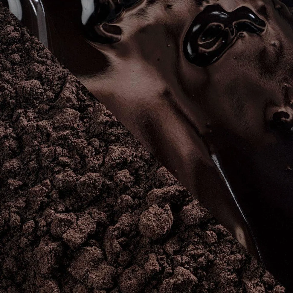 Callebaut Noir Intense Cacao en Polvo 1 kg Premium Procesado Holandés