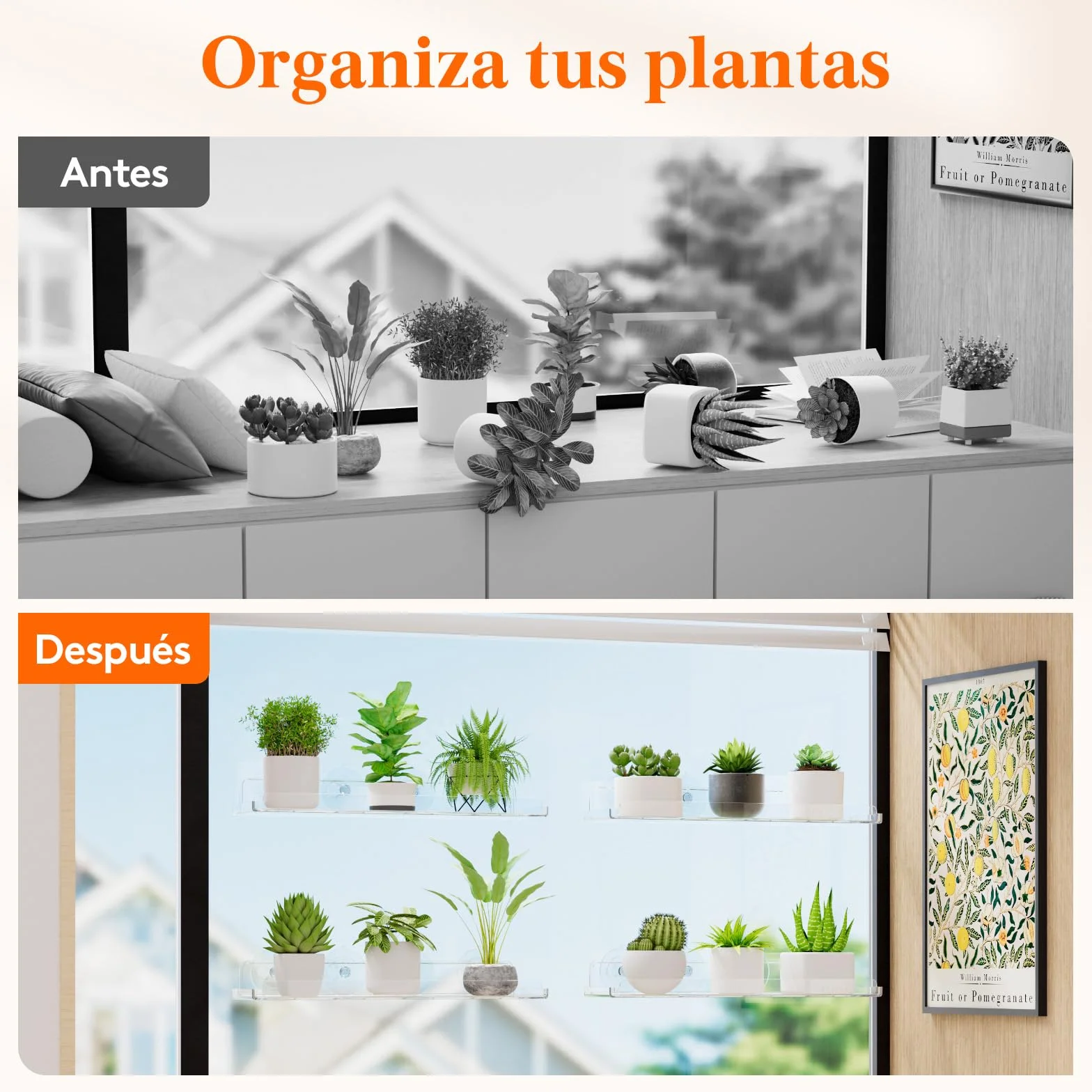 Lifewit Estanterias Plantas para Ventana, 3 Pack 38cm Baldas flotantes para Plantas Suculentas Interiores y Verduras en Miniatura, Repisas con Estante de Ventosas Acrílicas para Baño/Habitacion