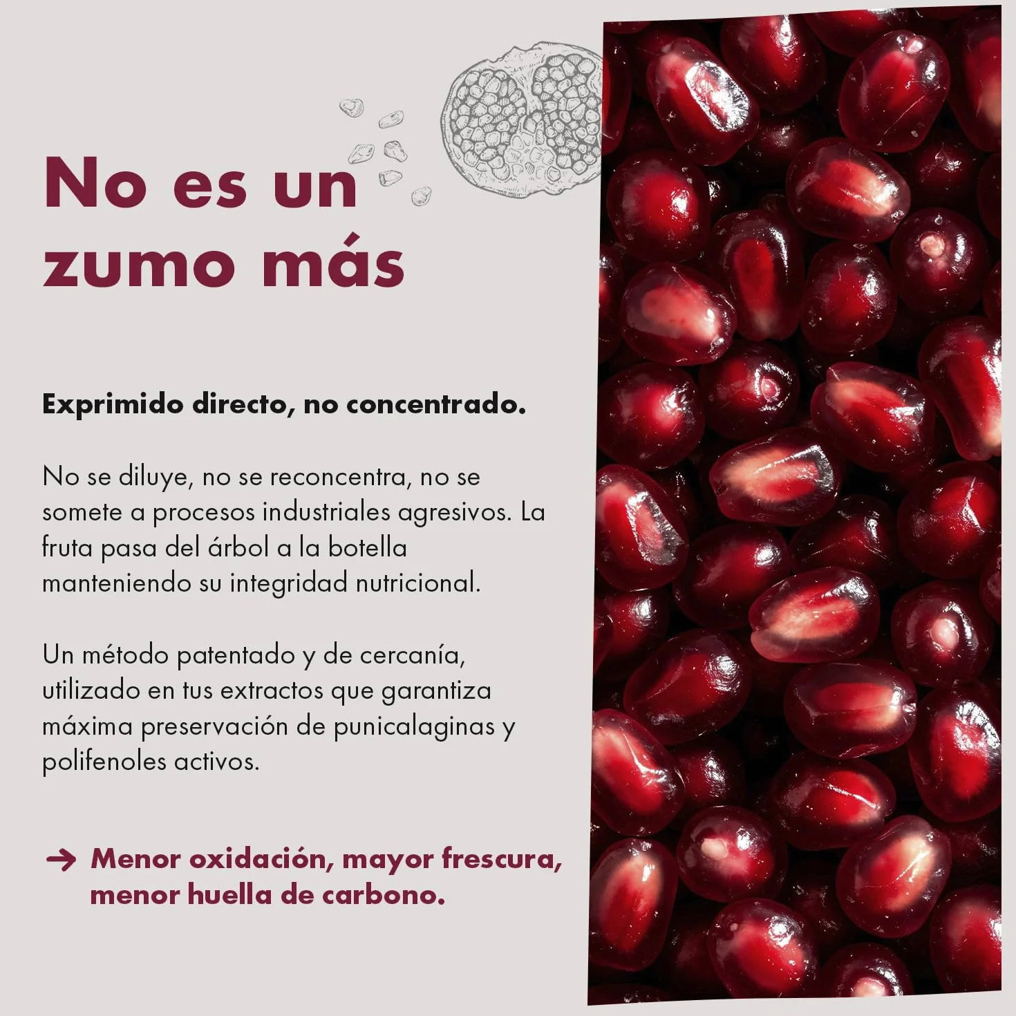 Granatum Plus Pack de 6 Botellas de Zumo de Granada Natural 750ml 100% Exprimido Sin Azúcares Añadidos