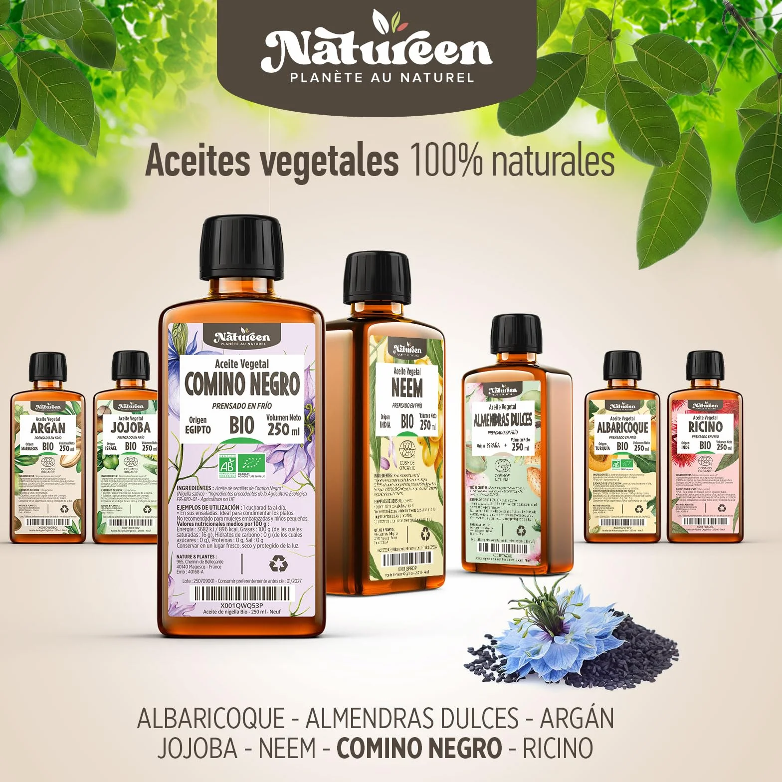 Aceite de Comino Negro Orgánico 150 ml - Nigella sativa - Prensado en Frío