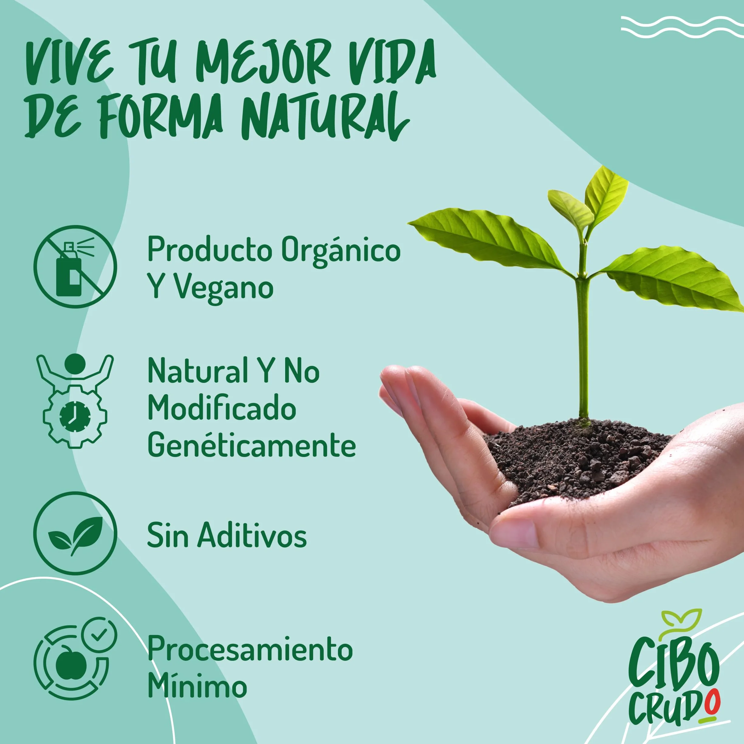 Levadura Nutricional Ecológica en Copos 100g Sin Gluten Lactosa Orgánica