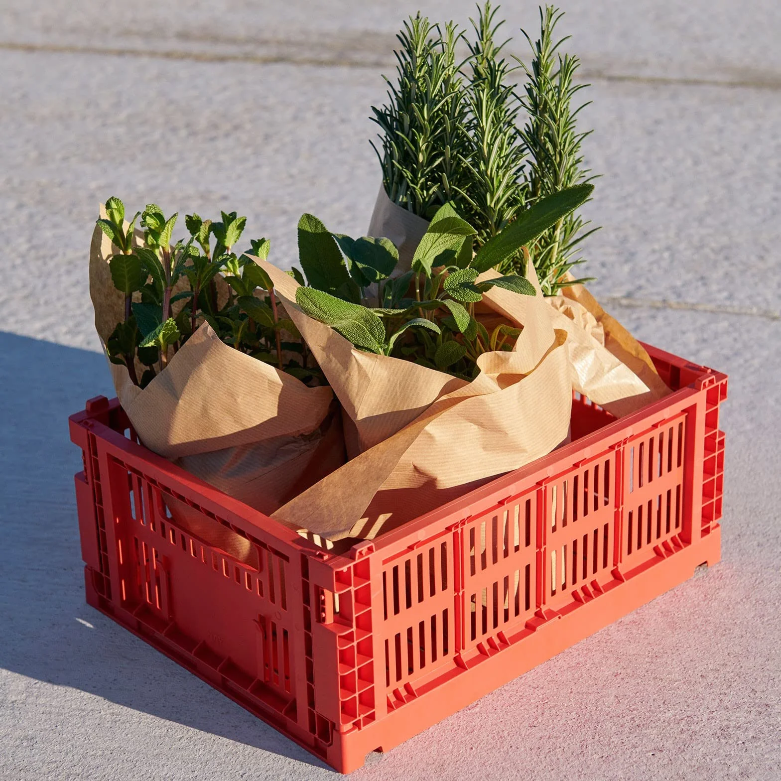 Hay Colour Crate 541459 - Caja de transporte (tamaño M, polipropileno reciclado, 34,5 x 26,5 x 14 cm), color morado