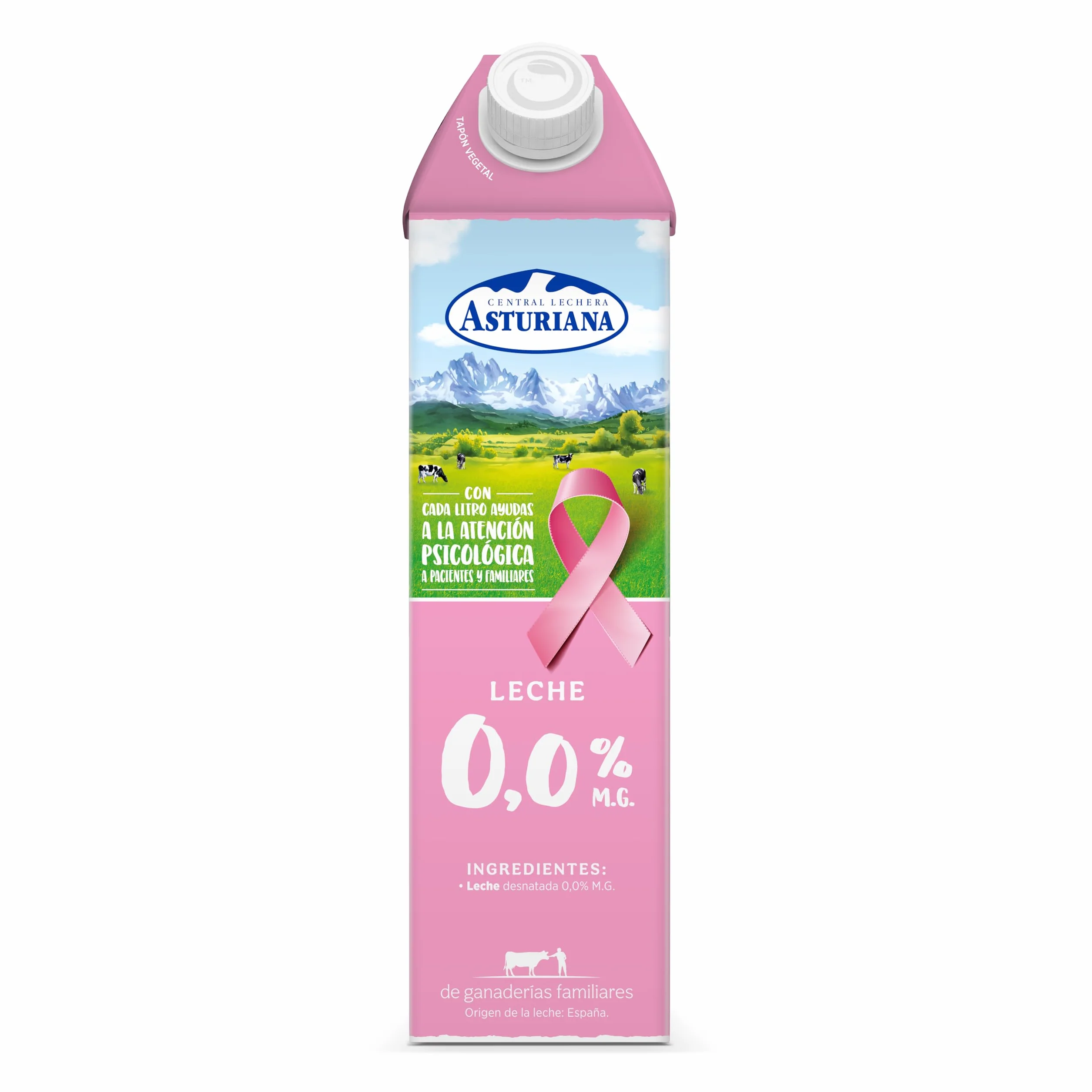 Central Lechera Asturiana Leche Desnatada 0% MG Pack 6 x 1L