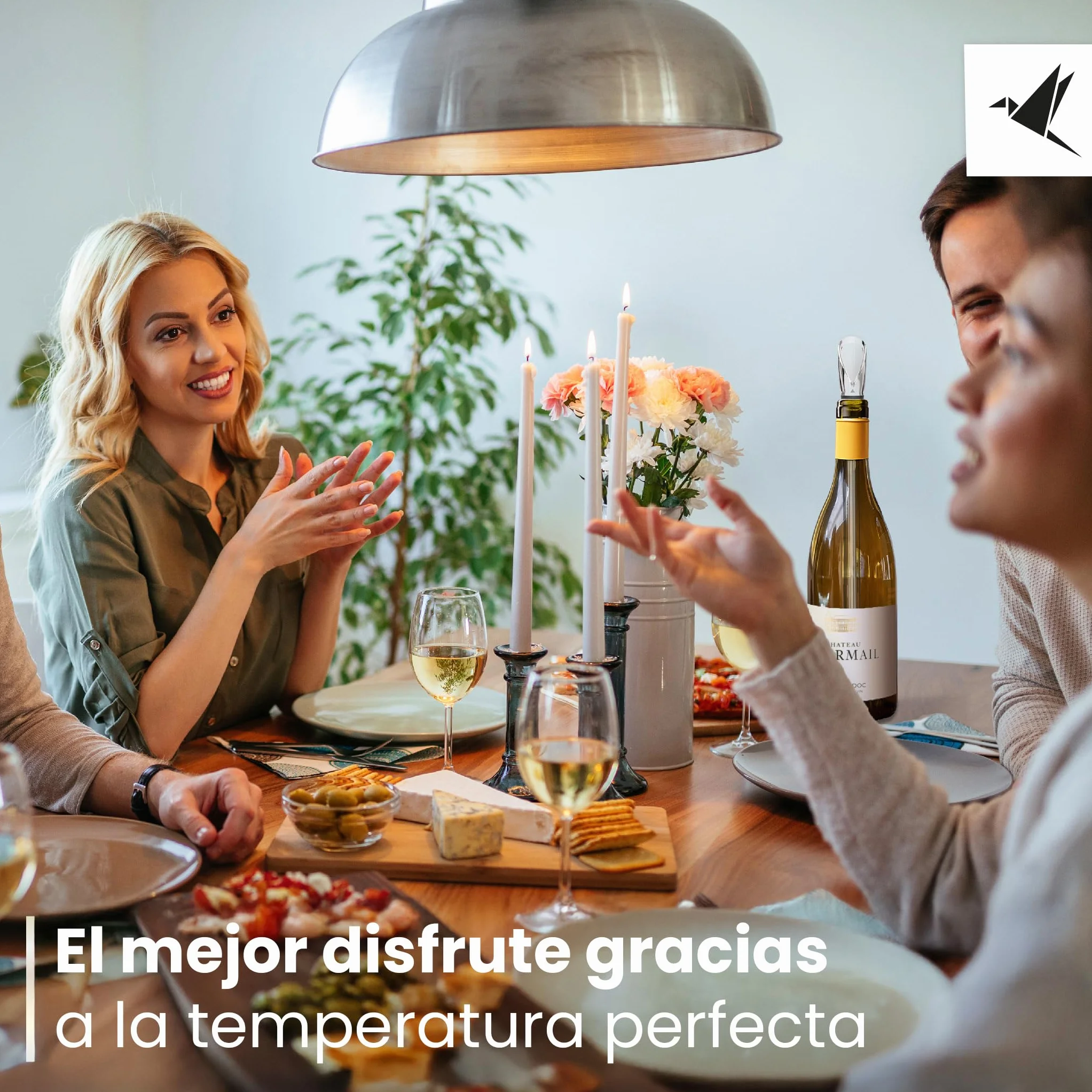 Beyond Enfriador de Botellas de Vino Acero Inoxidable con Vertedor – Varilla Enfriadora Accesorio ideal y Regalo para Amantes del Vino Hombre Mujer | Para Vino Blanco y Tinto (Set con 2 Varillas)