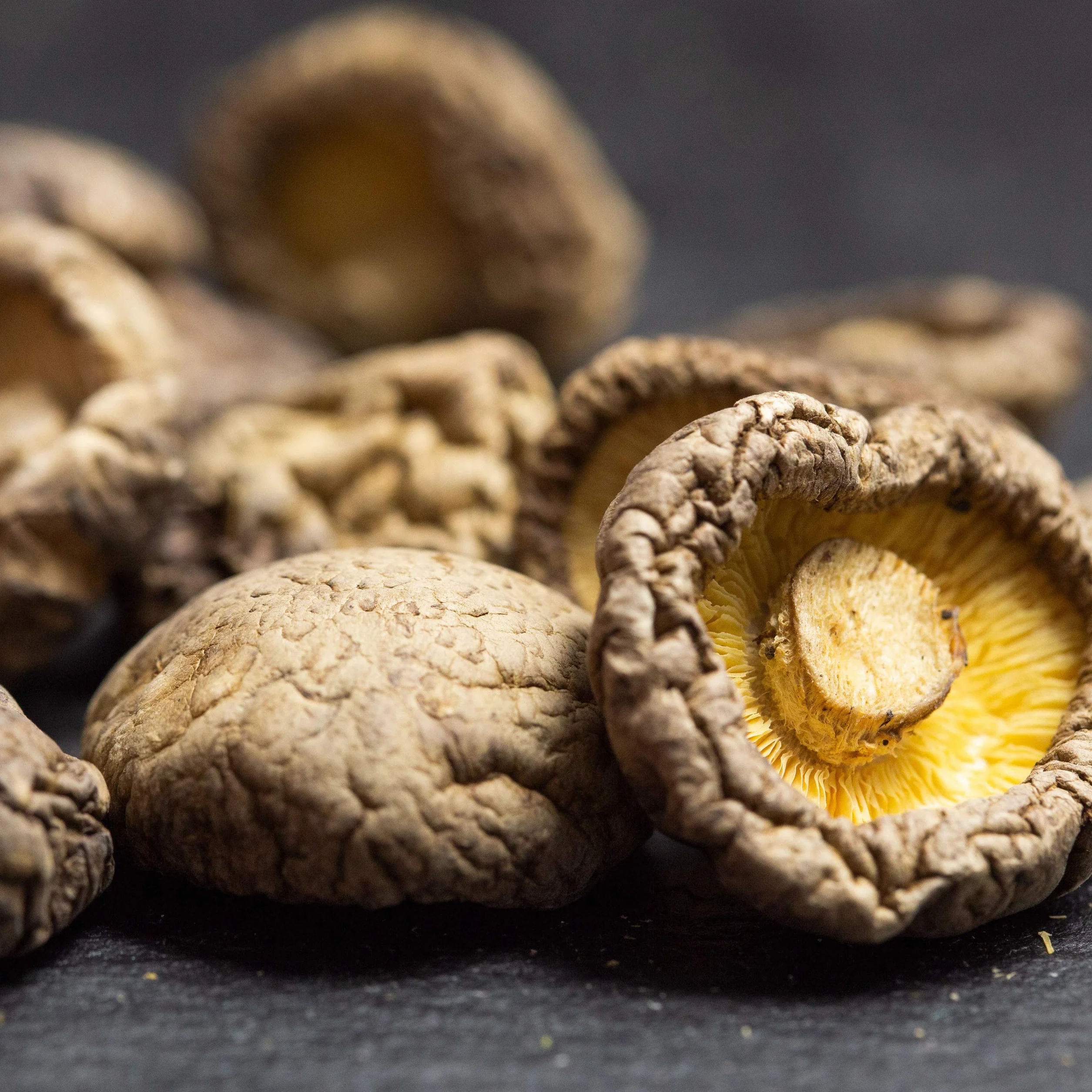 Setas Shiitake Deshidratadas 90gr Lentinus Edodes Seco 2-3cm