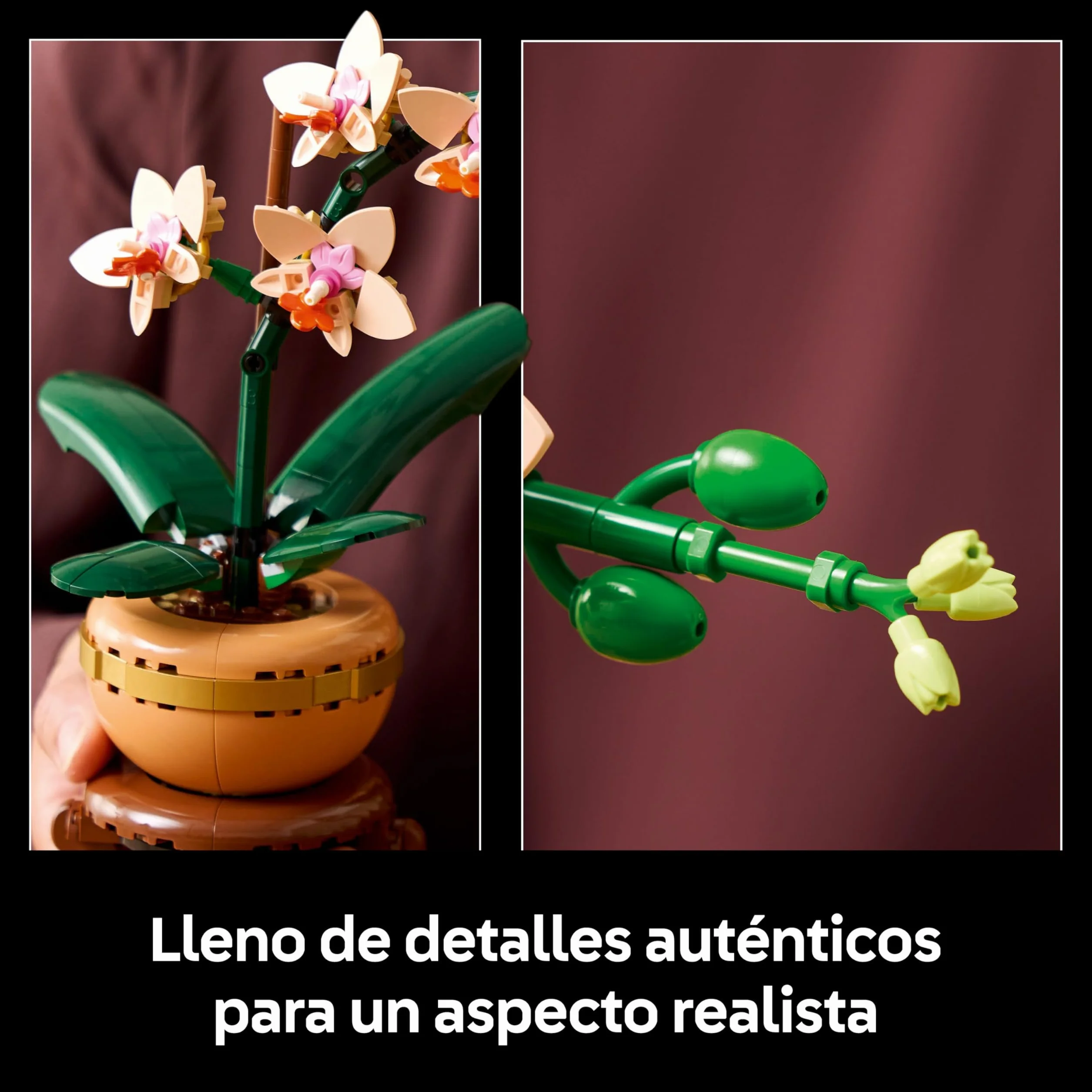 LEGO Botanicals Miniorquídea 10343 Maqueta para Construir Adultos Orquídea Flor Planta Artificial Decoración Hogar