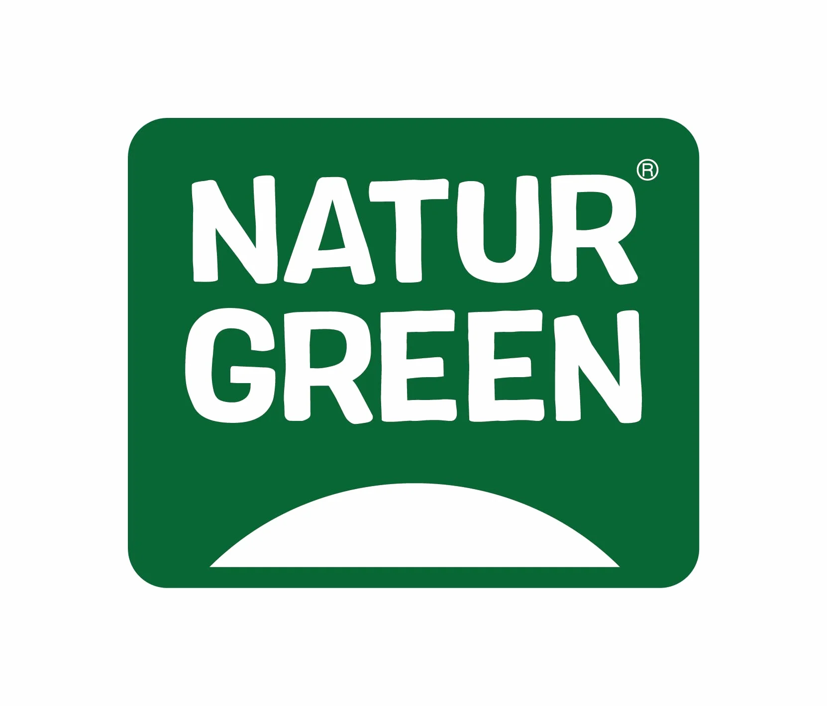 NaturGreen Semillas de Lino Dorado Molido Bio 150g | Alto en Fibra y Proteína | Omega-3 | Sin Azúcares Añadidos | Ecológico