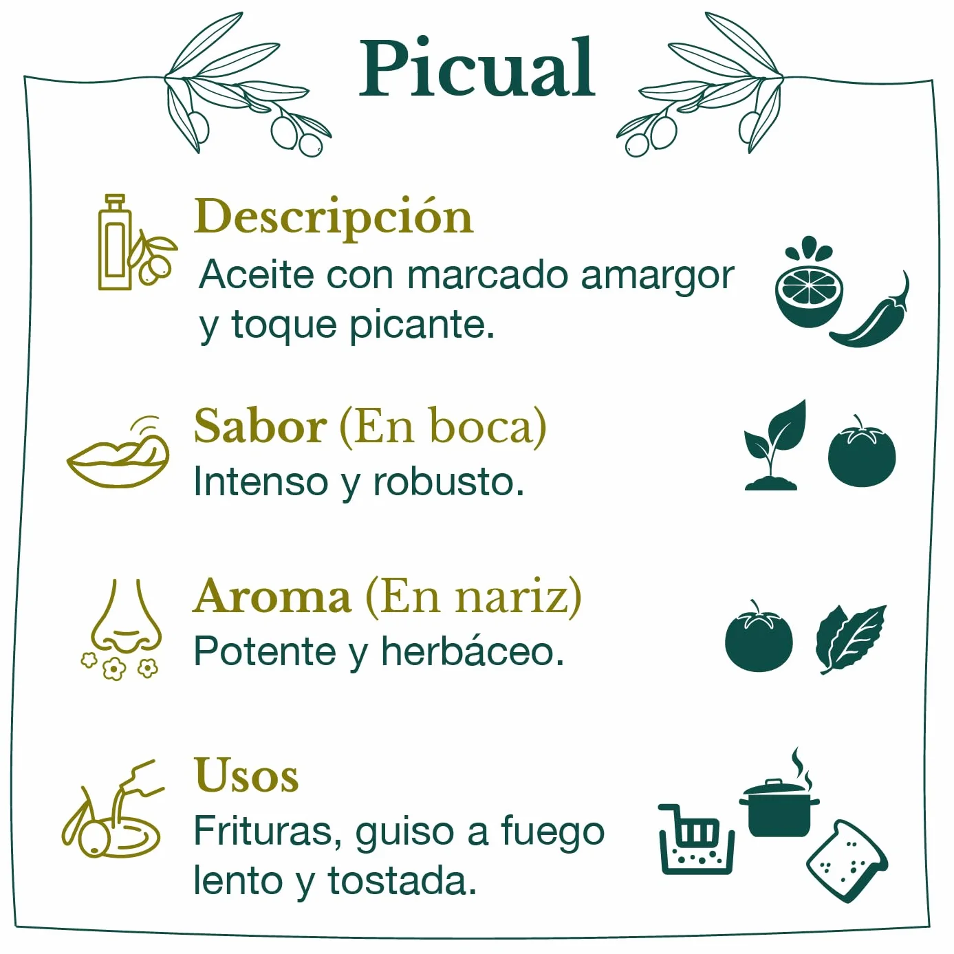 Aceite de Oliva Virgen Extra Picual 5L I.G.P. Jaén Botella PET