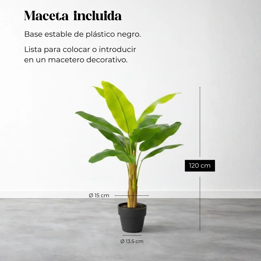 edihome Platanera 120 cm Artificial Grande con Tronco Real y Natural Decoración Interior