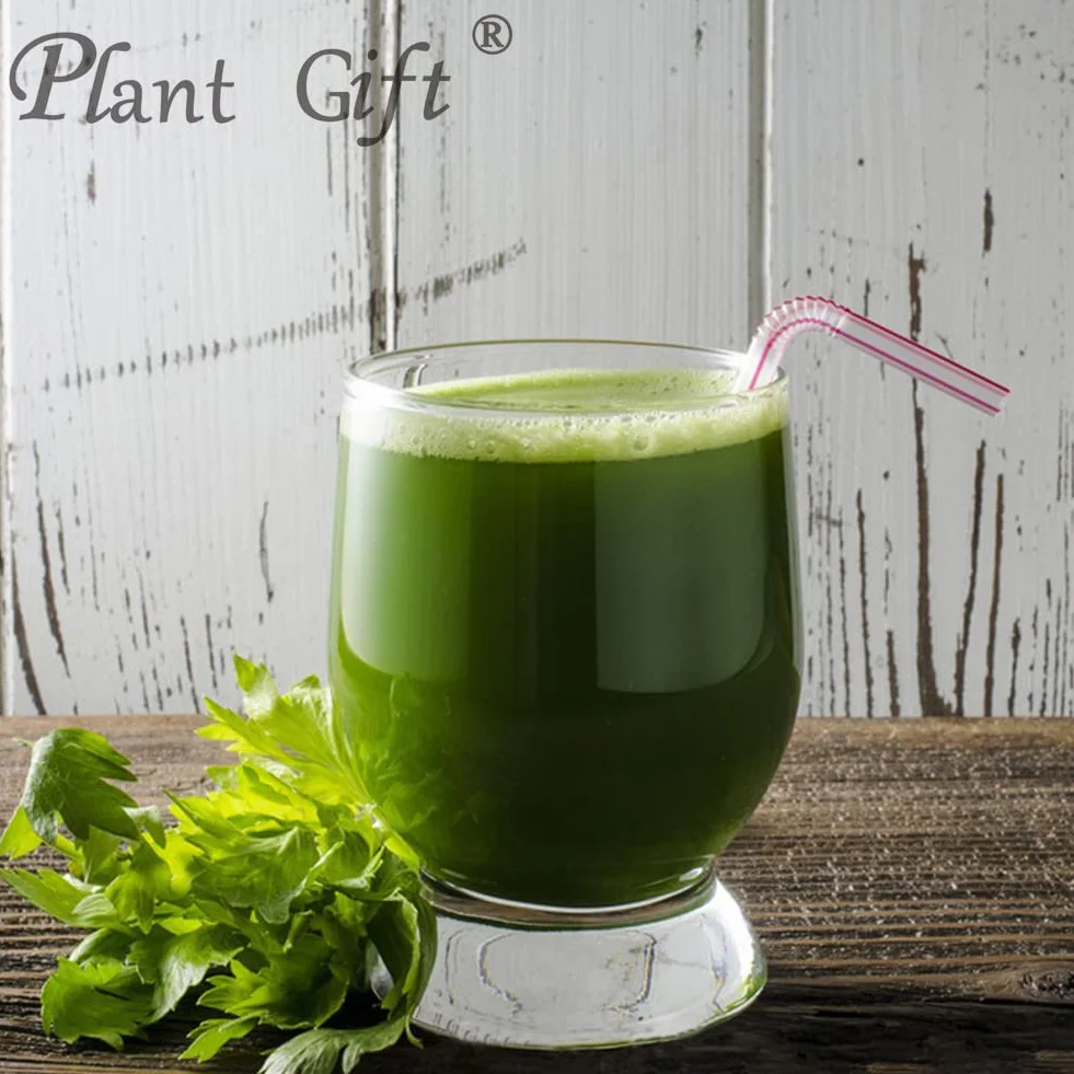 Celery Powder 100% Pure Natural 100g / 3.25oz