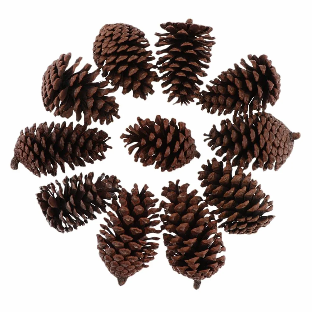 Conos de Pino Seco Natural 8-10 cm Decoración Árbol de Navidad 10 Piezas