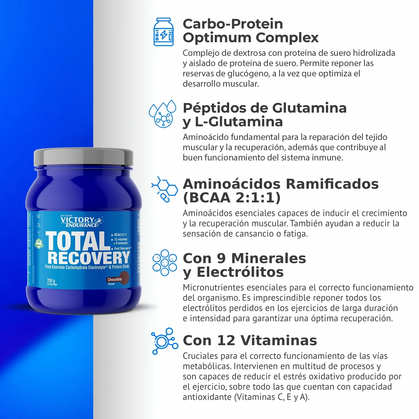 VICTORY ENDURANCE Total Recovery 750g Summer berries - Preparado Bebida Post-Entreno Carbohidratos Electrolitos Proteínas BCAA 2:1:1