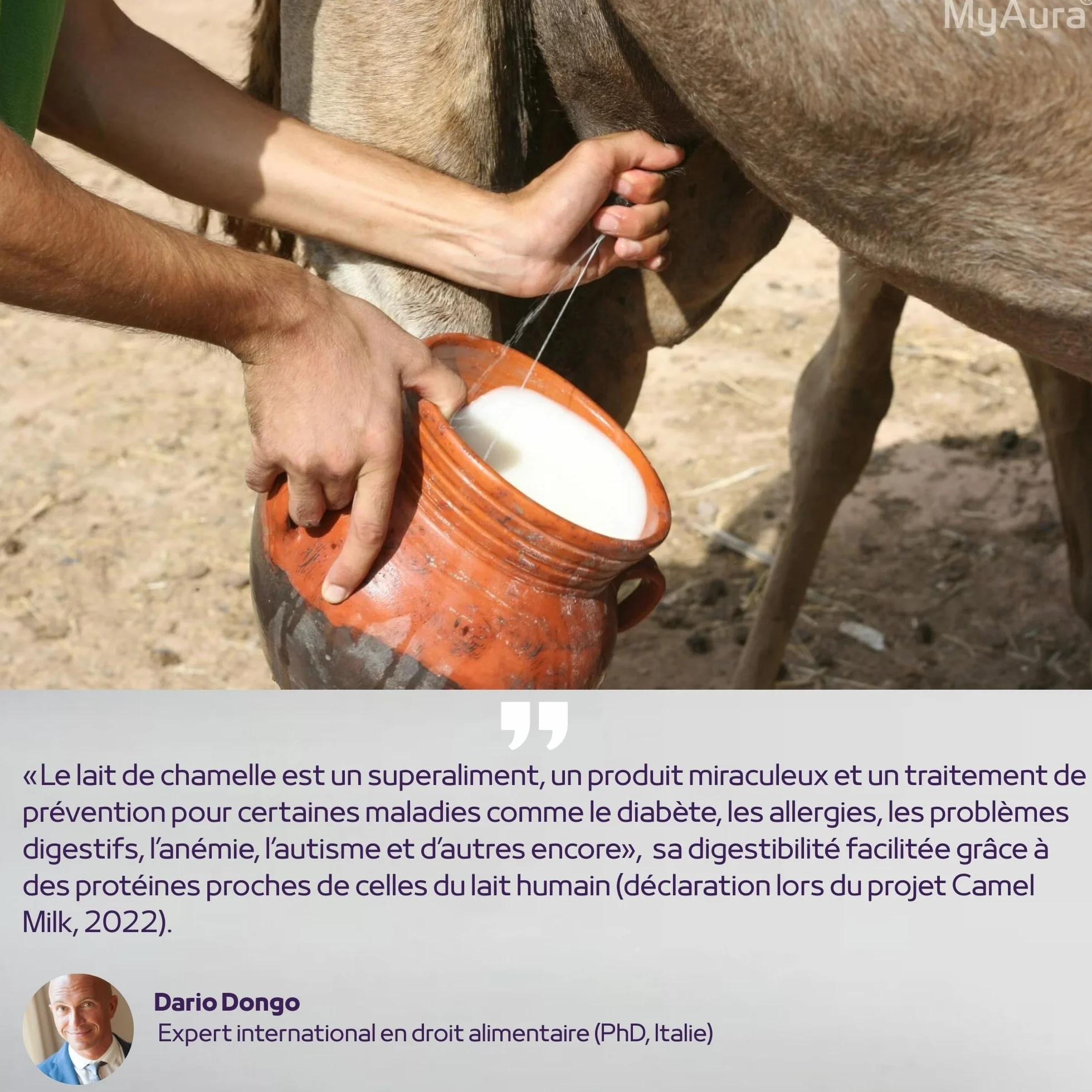 Leche de camello en polvo premium 100g - Marca francesa, rica en vitamina C y hierro