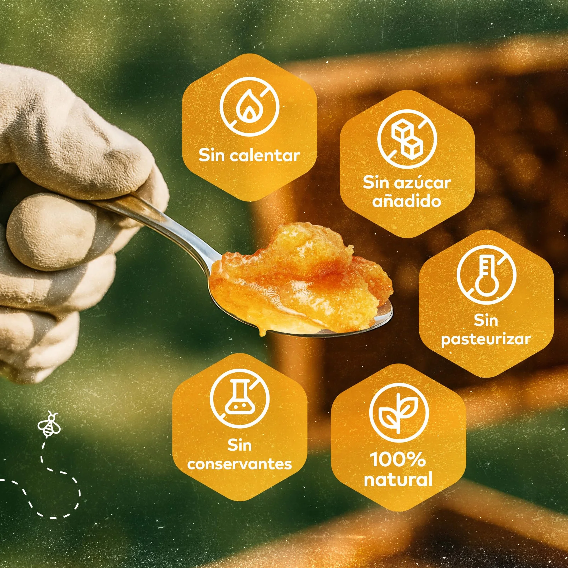 Miel Pura de Abeja 1kg Cruda Natural sin Pasteurizar - Qhoney Ganadora de Oro Paris Raw Honey Awards 2025