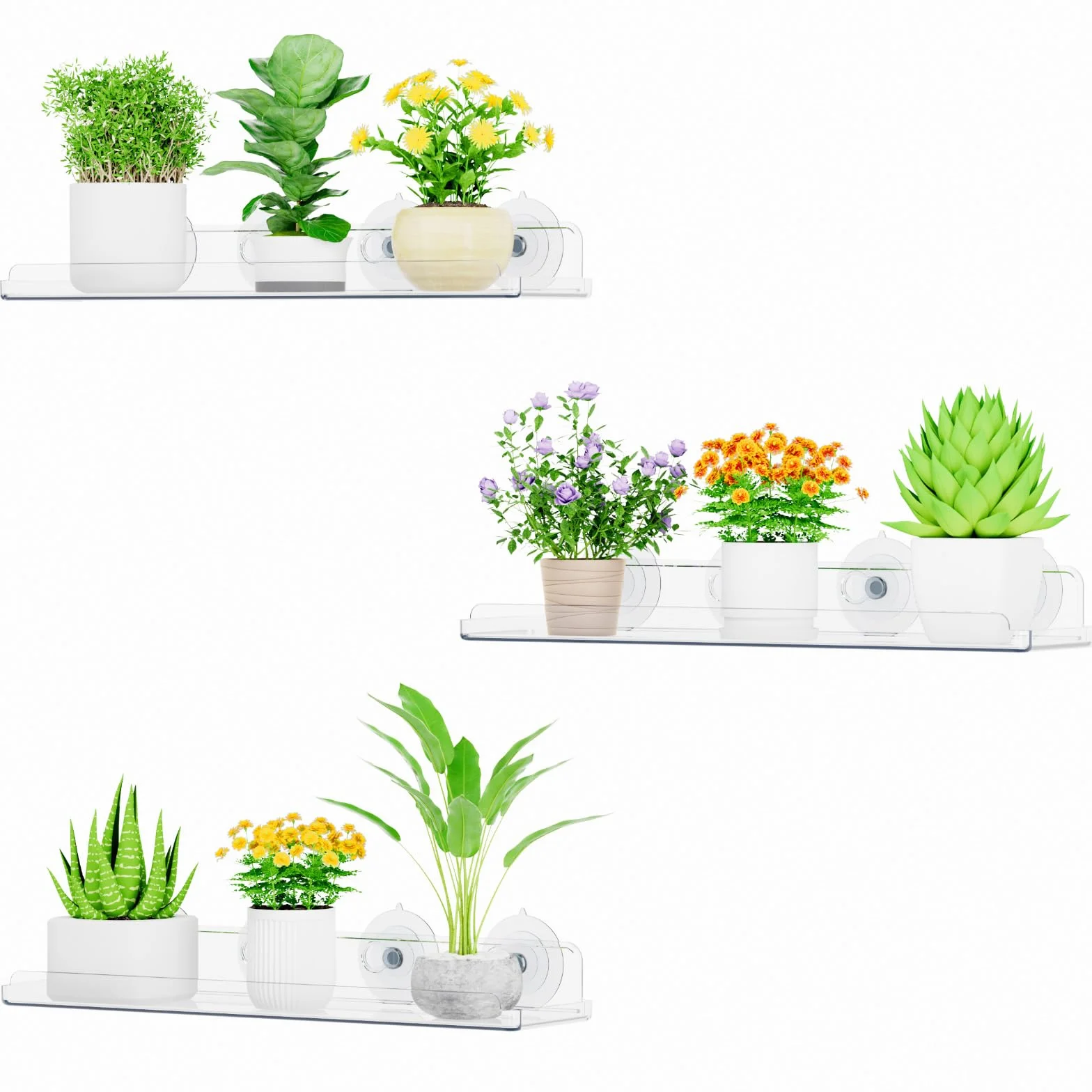 Lifewit Estanterias Plantas para Ventana, 3 Pack 38cm Baldas flotantes para Plantas Suculentas Interiores y Verduras en Miniatura, Repisas con Estante de Ventosas Acrílicas para Baño/Habitacion