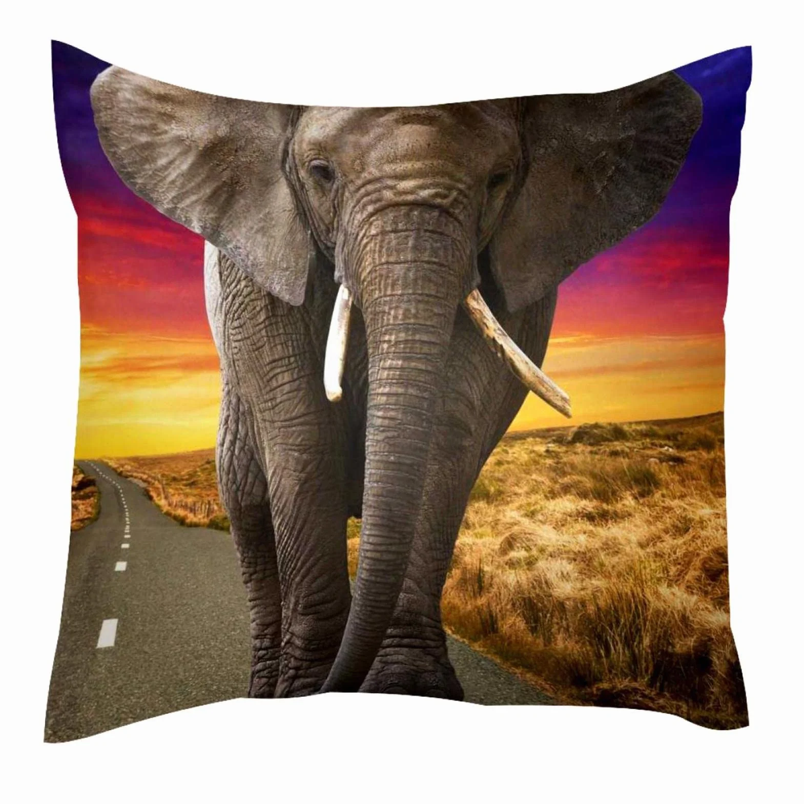 Funda de Almohada con Cierre de Cremallera Fundas de Almohada cuadradas para sofá, tamaño estándar<18x18in>,Animal de Elefante Africano