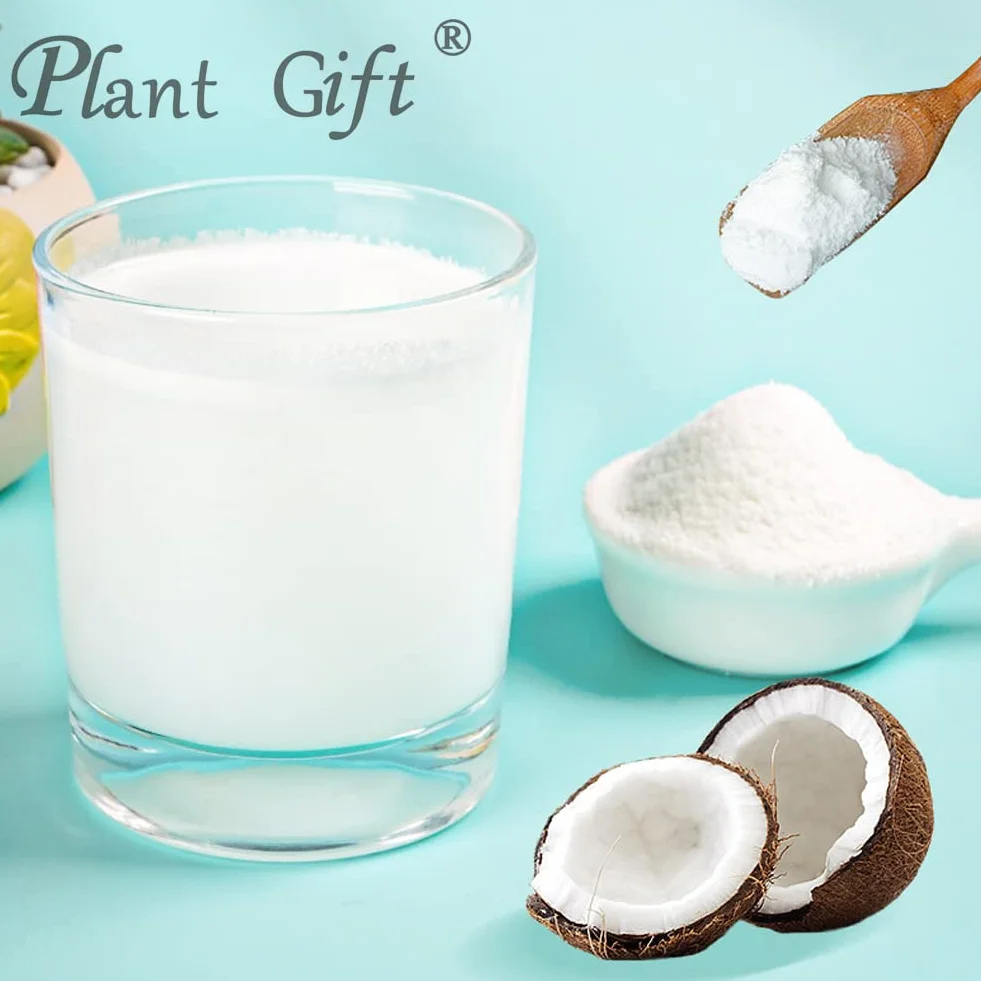 Coconut Powder 100% Pure Natural 100g 3.25oz Polvo de Coco