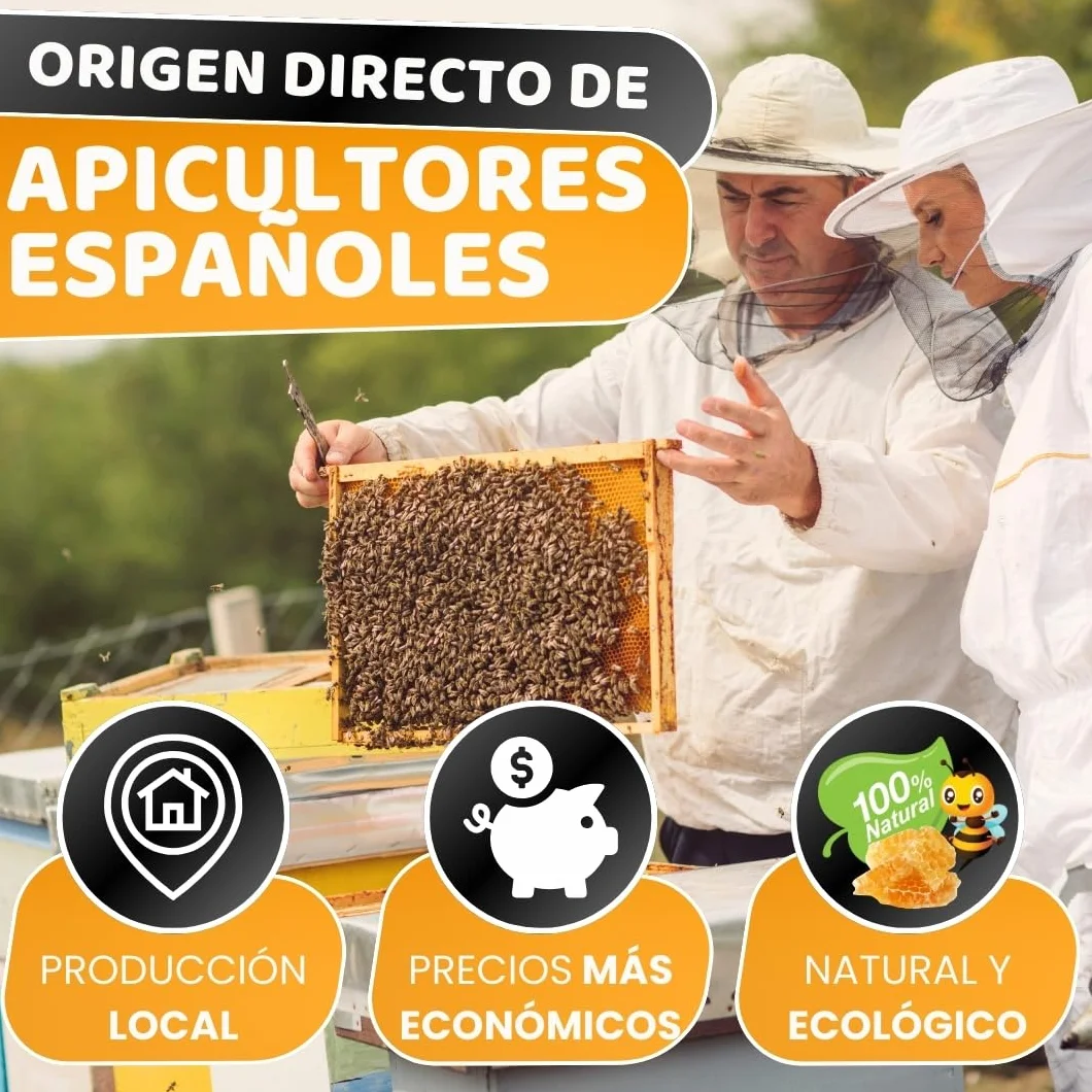 Velas de Miel de Abeja 100% Natural Española Cera Pura - Pack de 8, 10 cm x 2,2 cm
