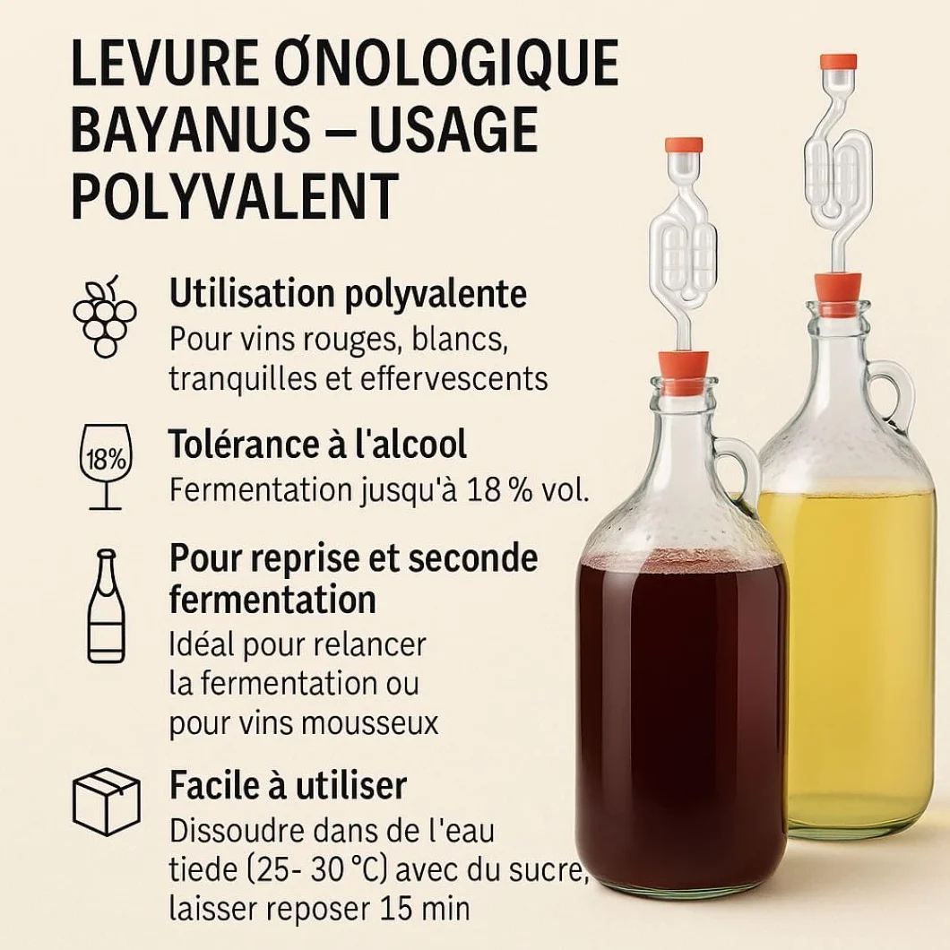 Levadura Enológica Bayanus 10g G955 do Wina Musującego, Fermentacji