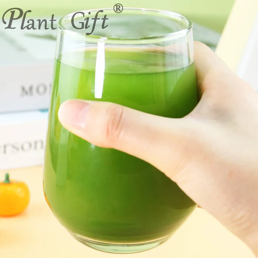 Celery Powder 100% Pure Natural 100g / 3.25oz