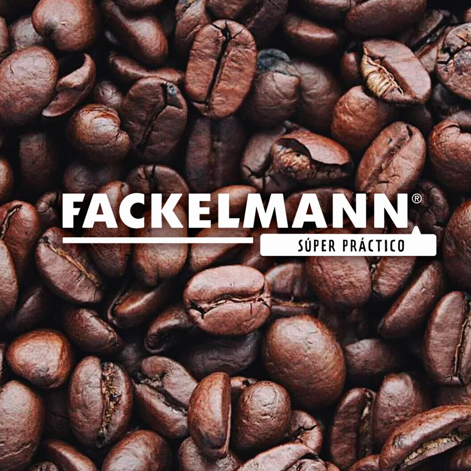 Fackelmann Filtro Permanente Café o Té nº4, Malla de Acero Inoxidable, Reutilizable, 11.5x8.5cm