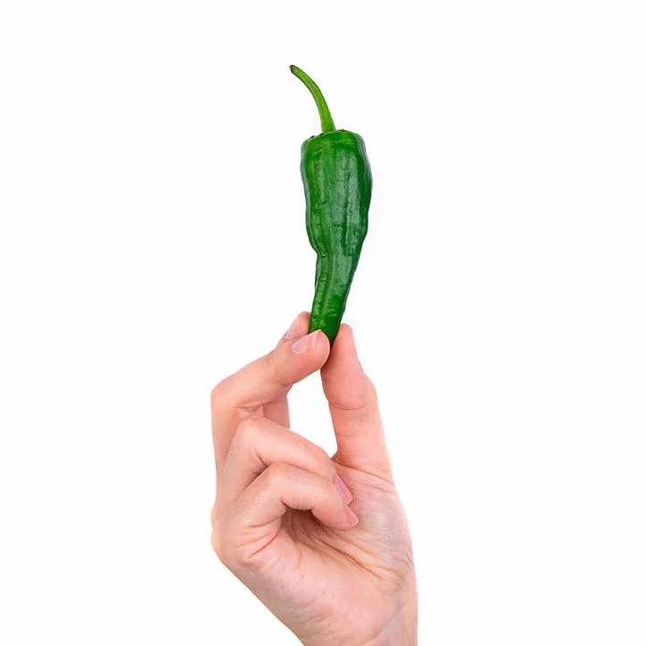 Pimiento Padrón 0.5kg La Parcela España Andalucía Costa Tropical Fresco