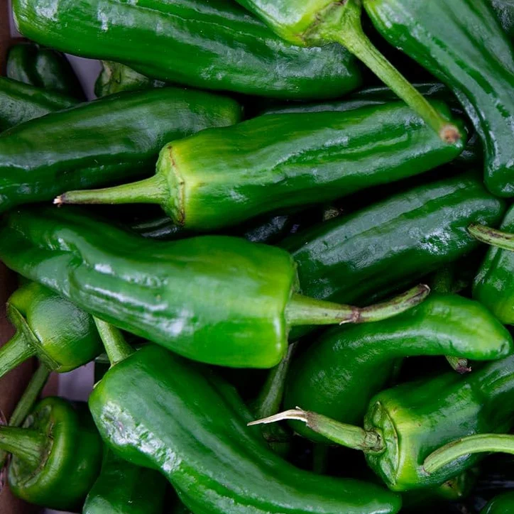 Pimiento Padrón 0.5kg La Parcela España Andalucía Costa Tropical Fresco