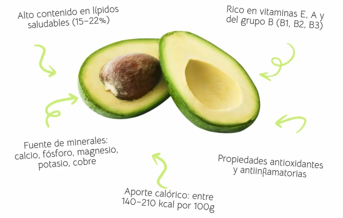 Aguacate Hass Pack 2 kg - Aguacates Frescos Seleccionados para Guacamole